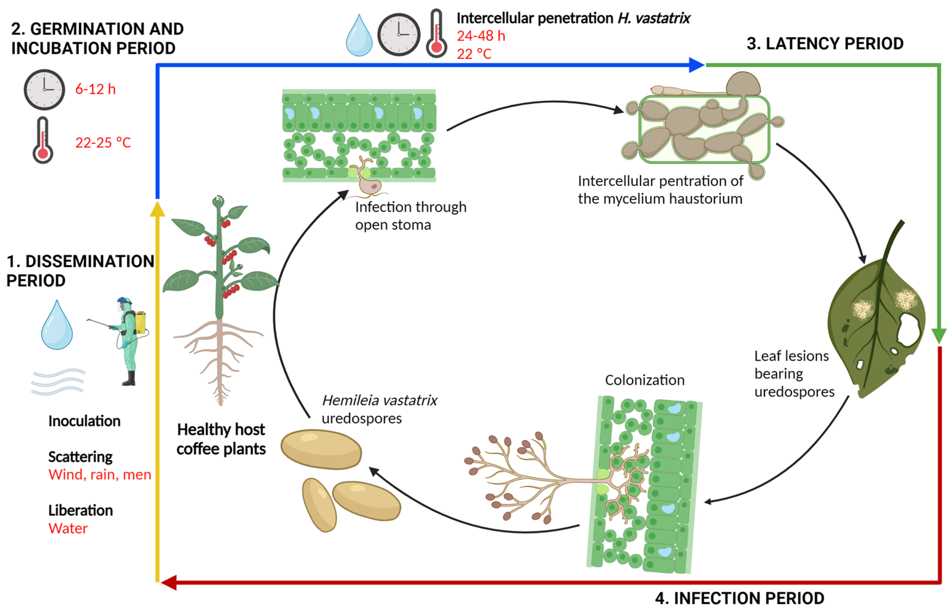 Plants 12 03519 g002 Plants 12 03519 g002