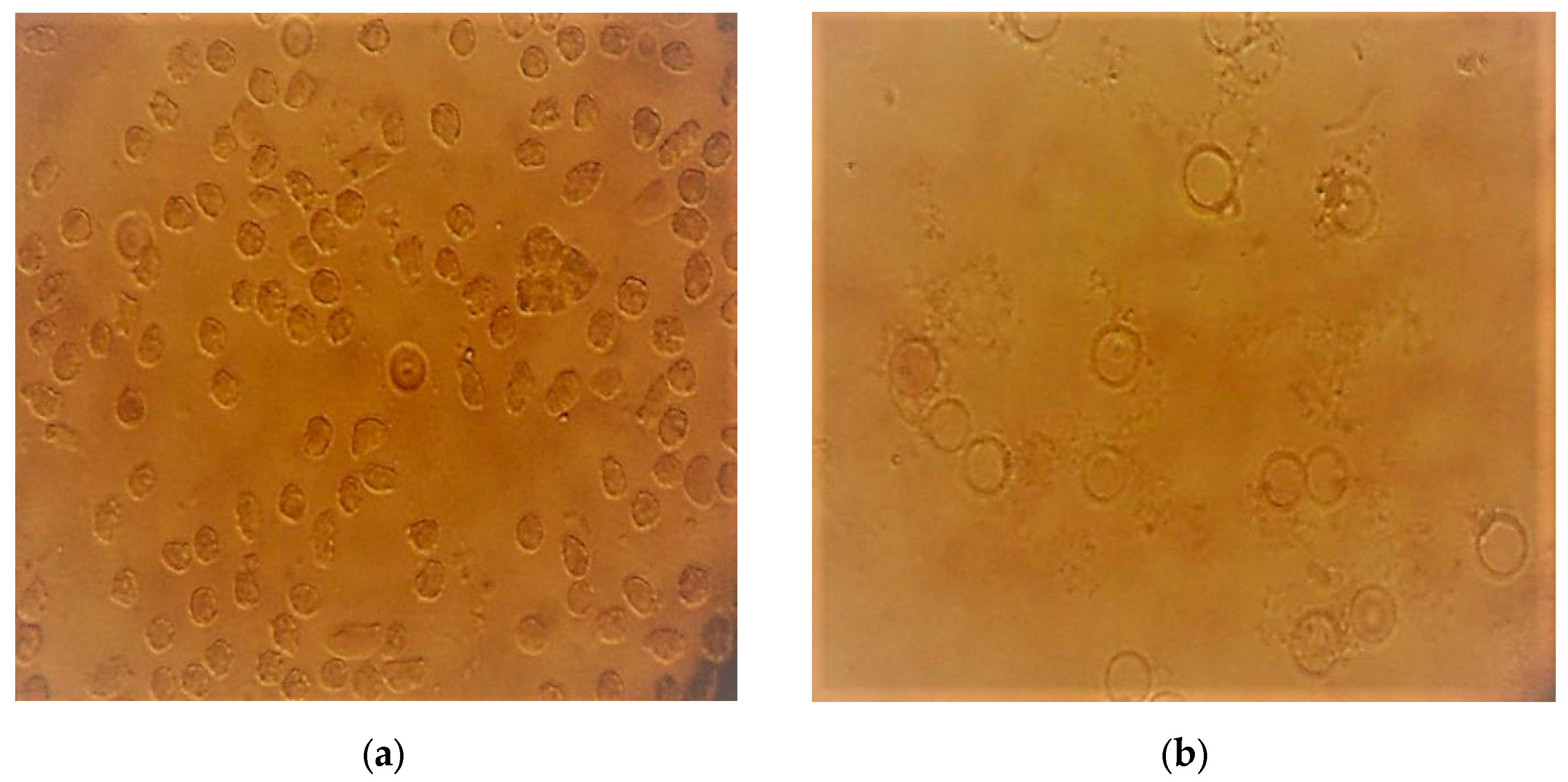 Plants 12 03522 g002 Plants 12 03522 g002