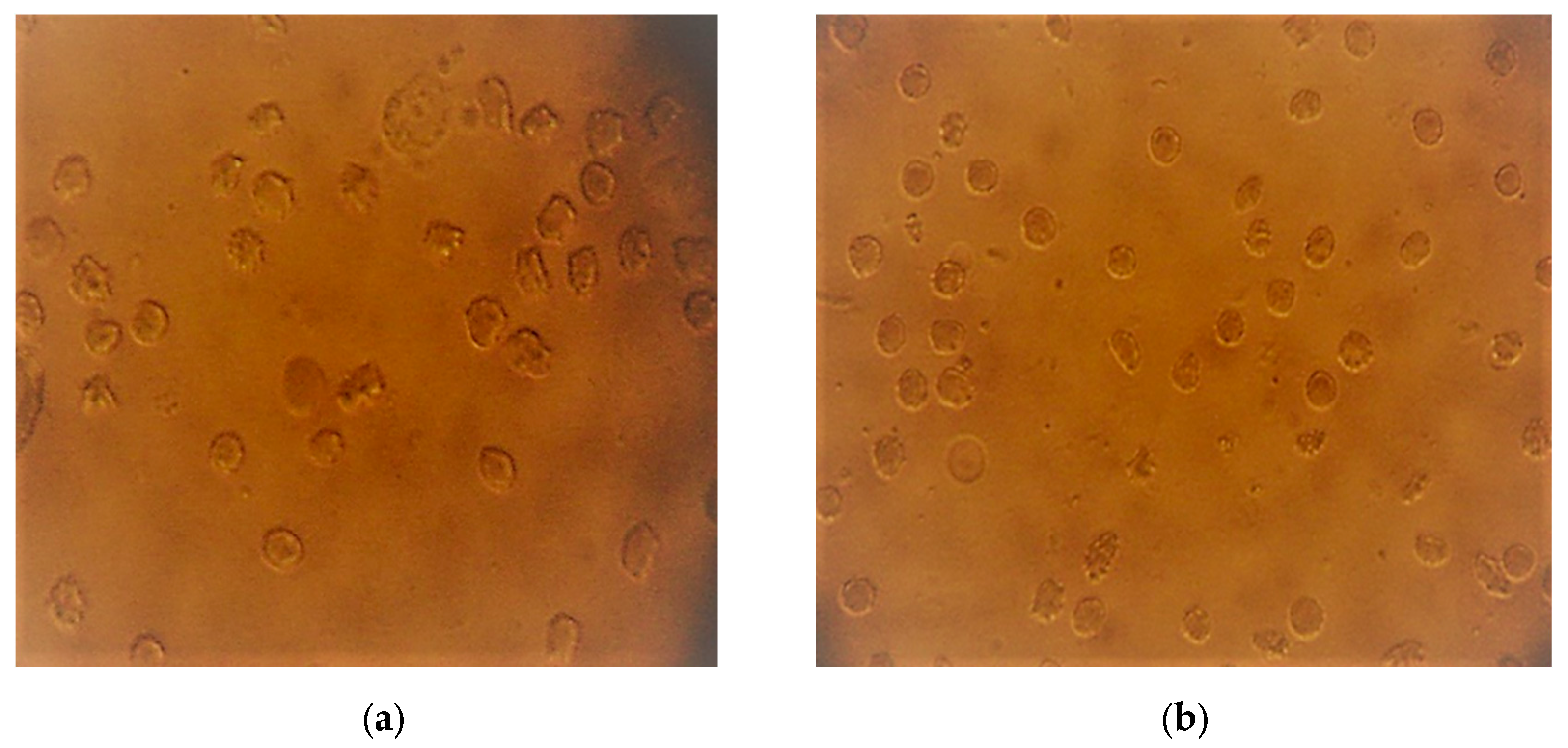 Plants 12 03522 g003 Plants 12 03522 g003