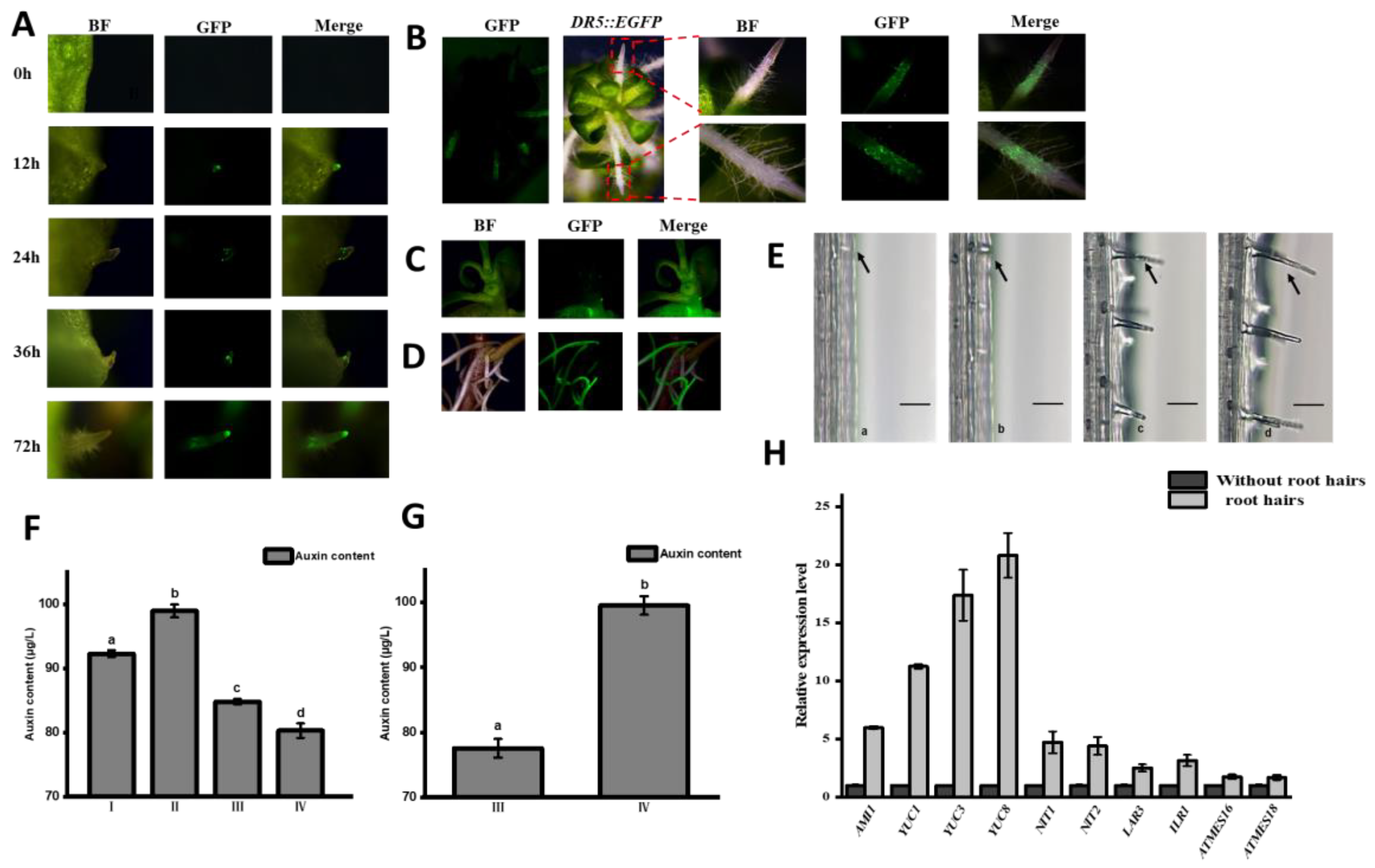 Plants 12 03523 g003
