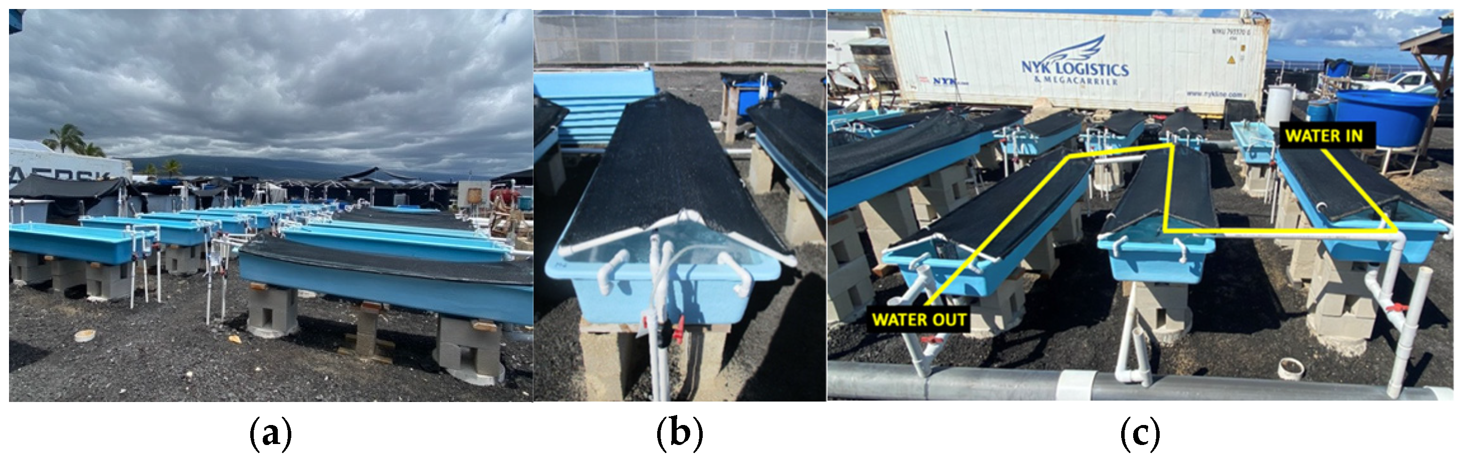 Plants 12 03524 g008 Plants 12 03524 g008