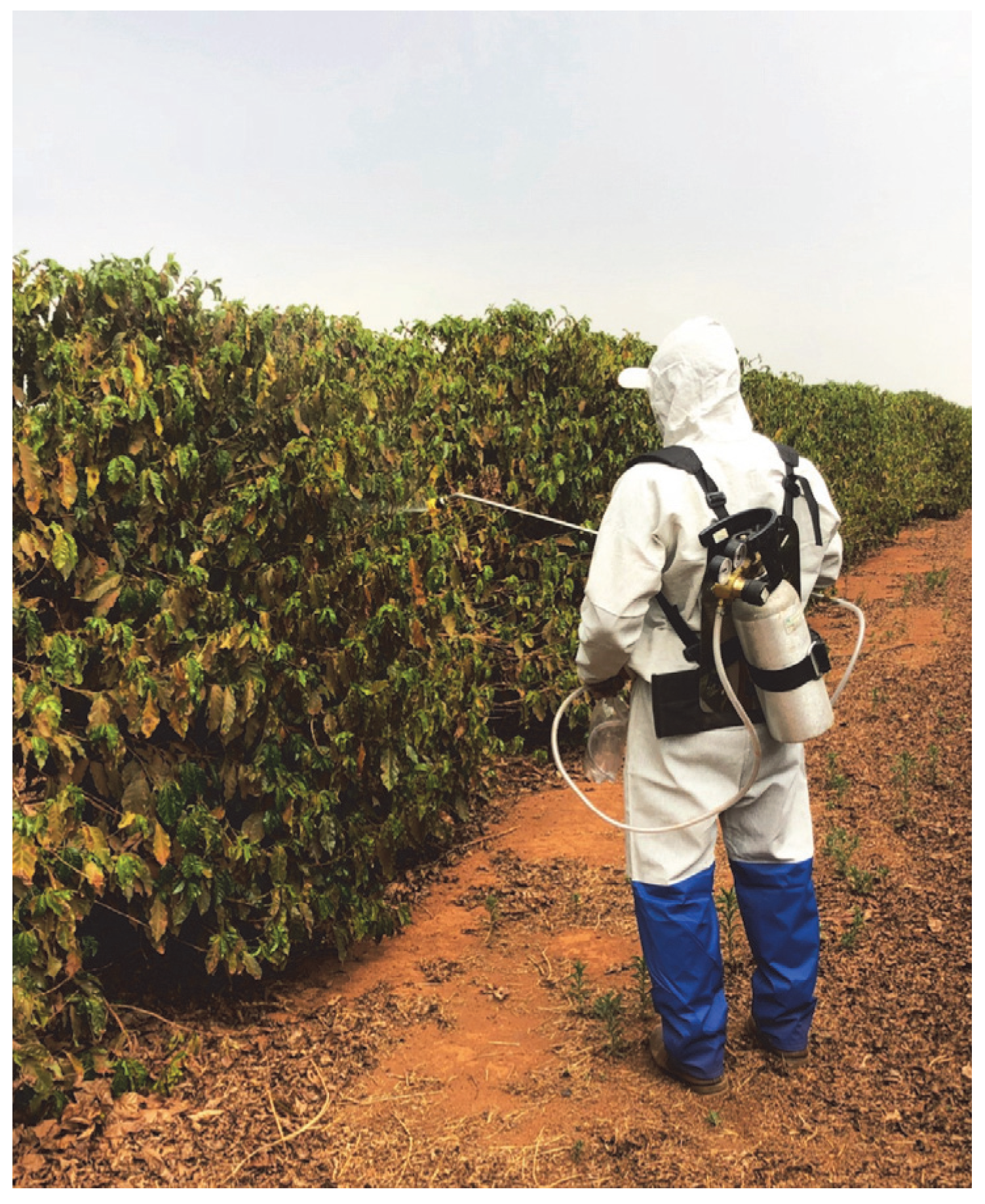 Plants 12 03525 g007