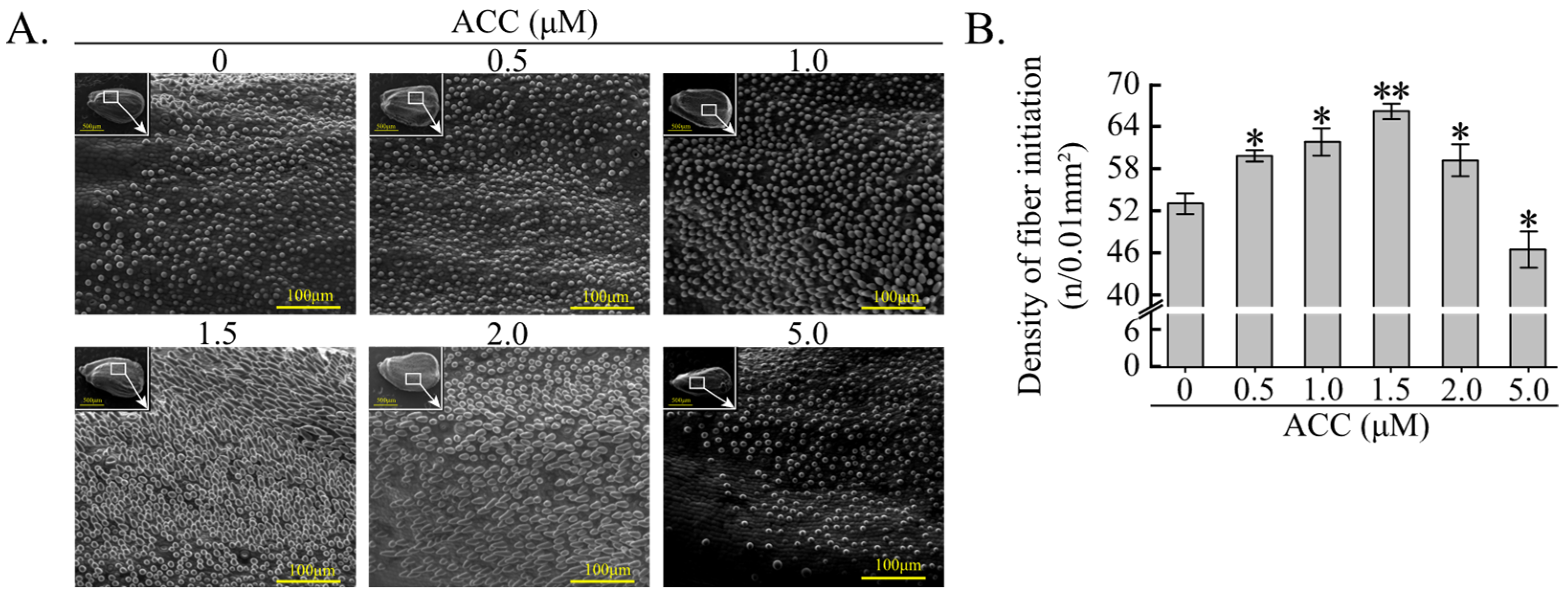 Plants 12 03530 g004