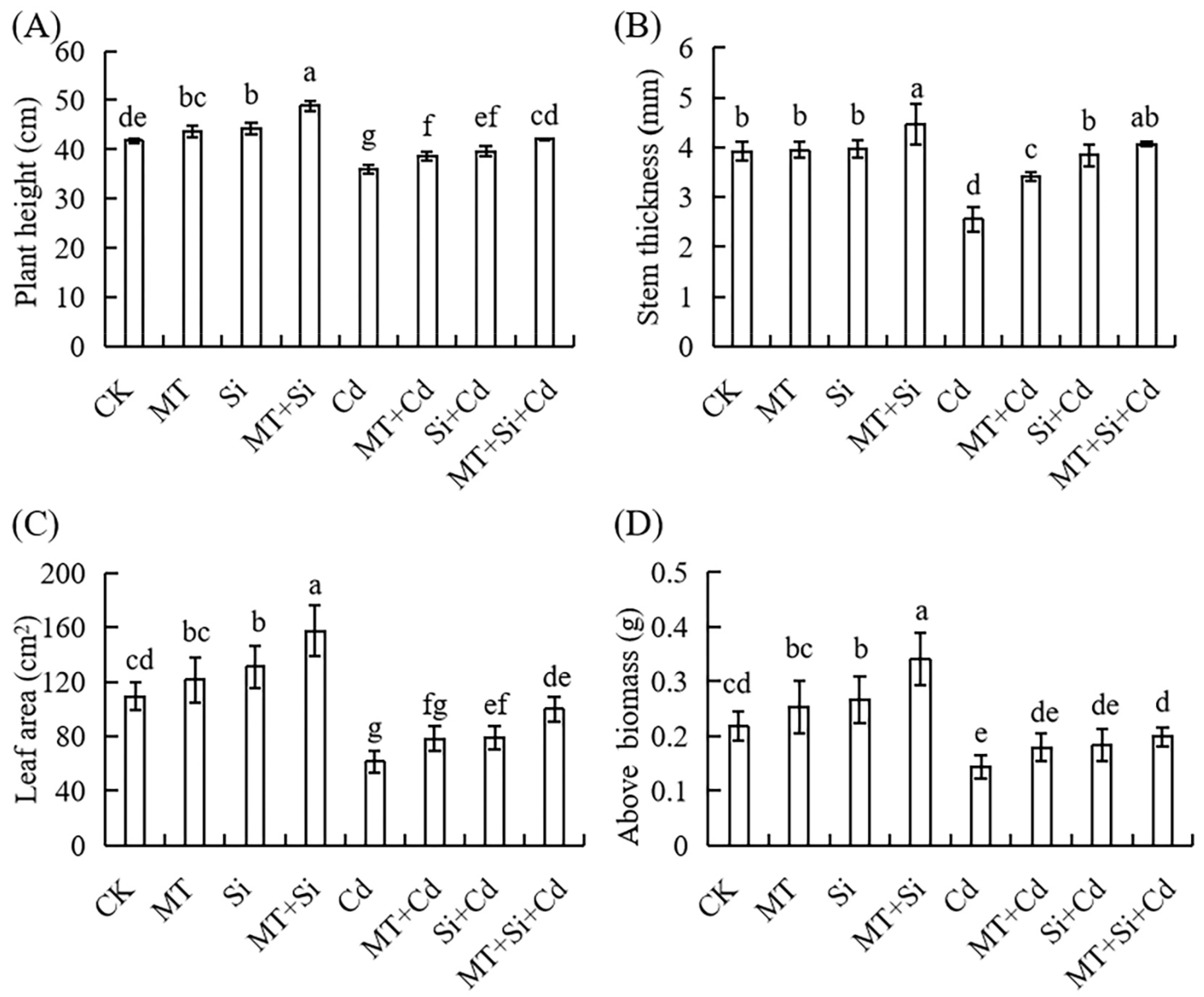 Plants 12 03537 g002