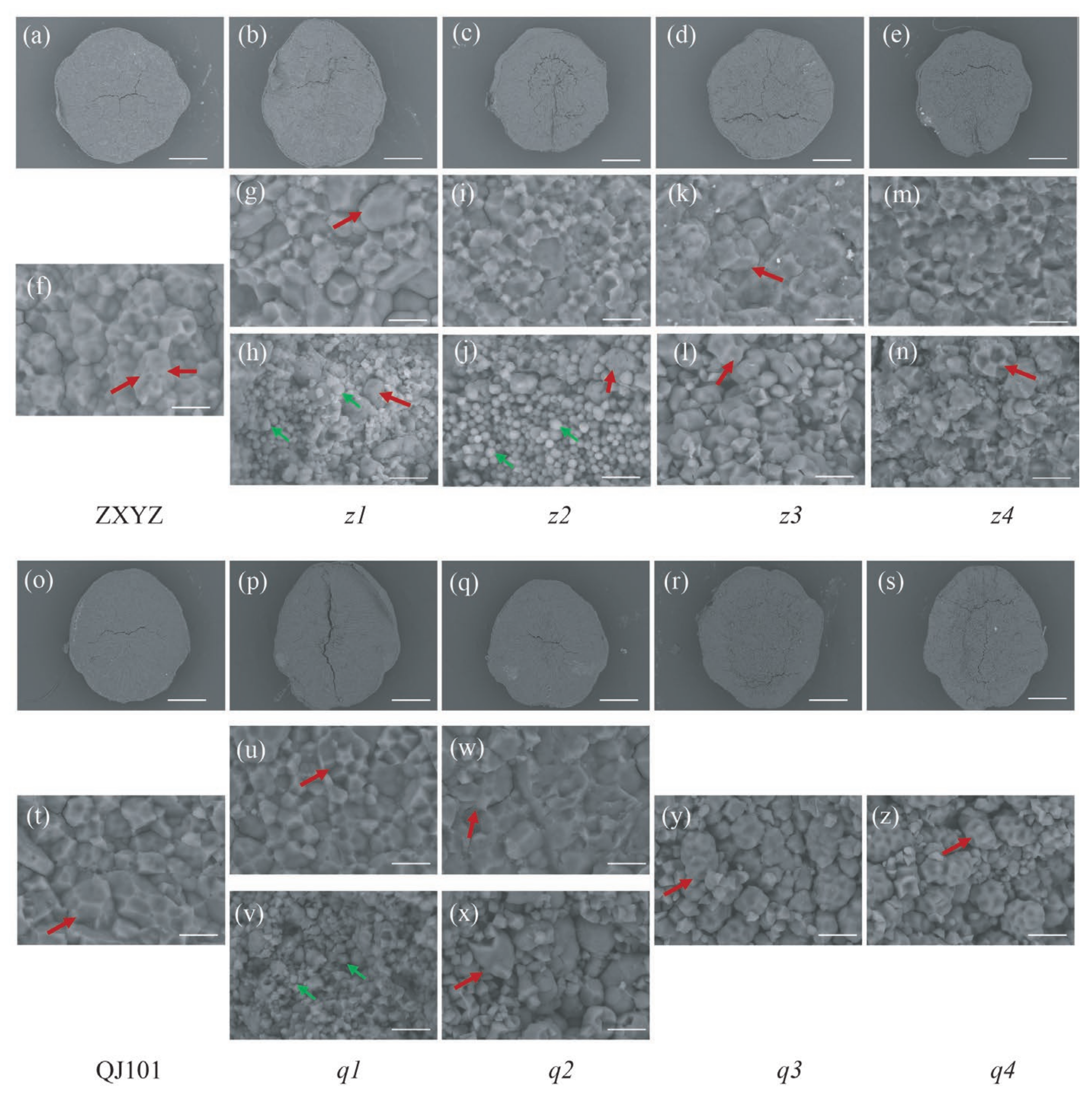 Plants 12 03541 g002