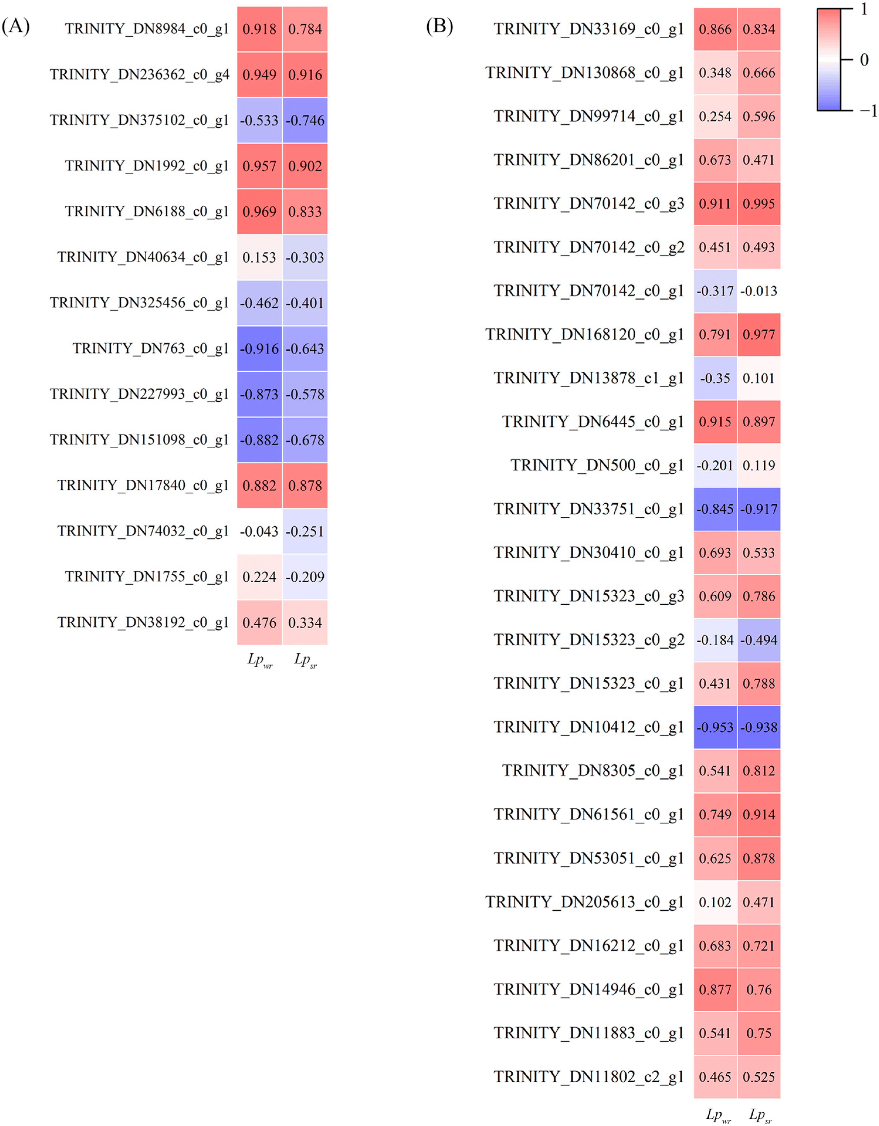 Plants 12 03543 g004