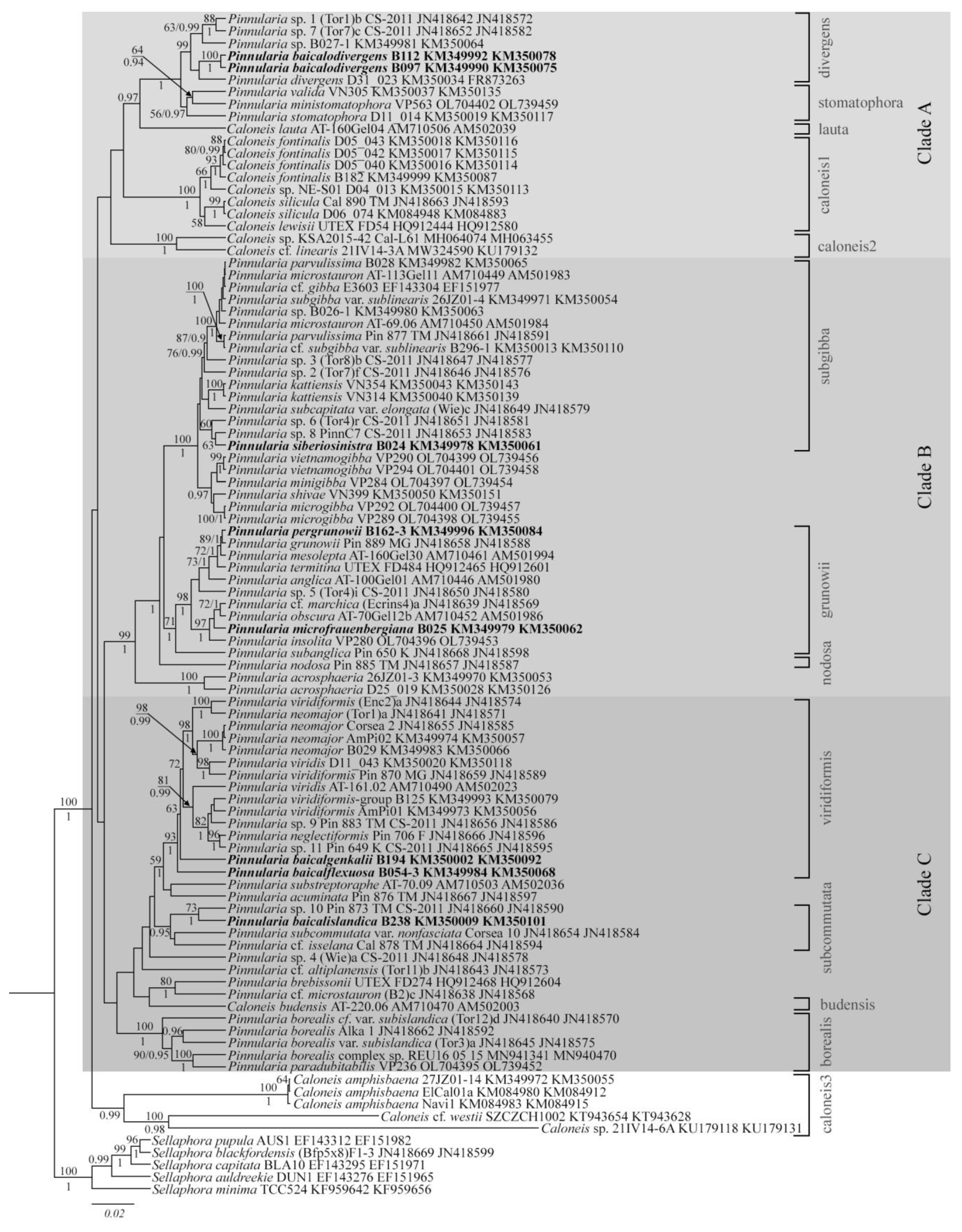 Plants 12 03552 g014 Plants 12 03552 g014