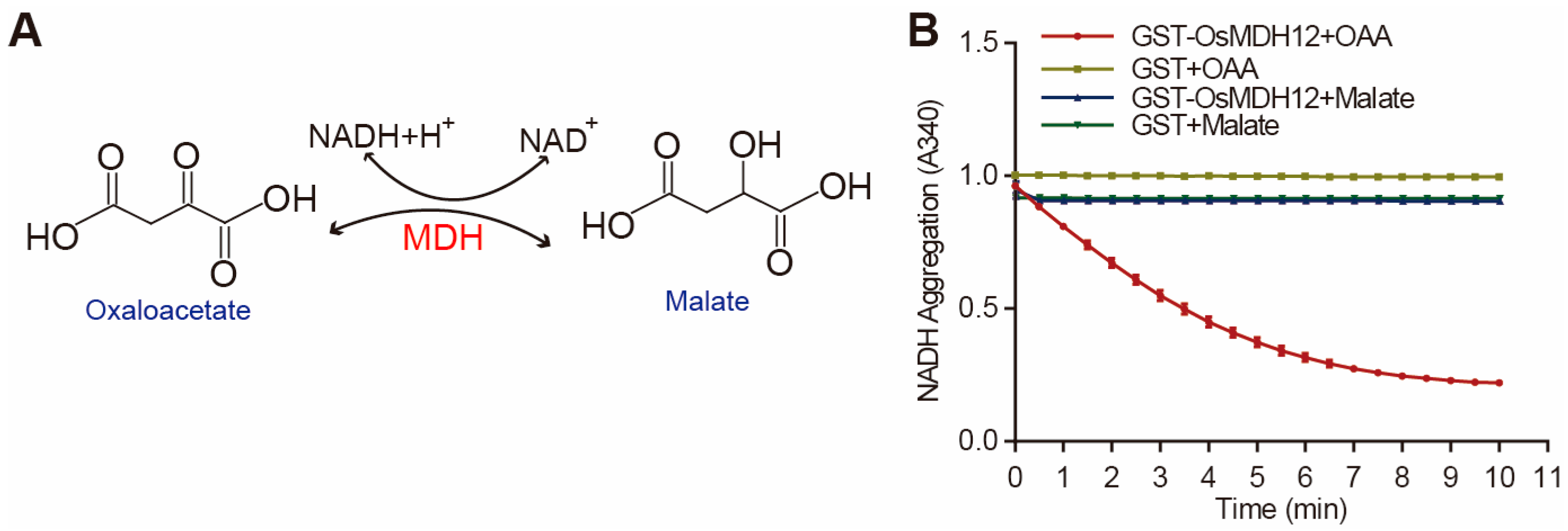 Plants 12 03558 g002