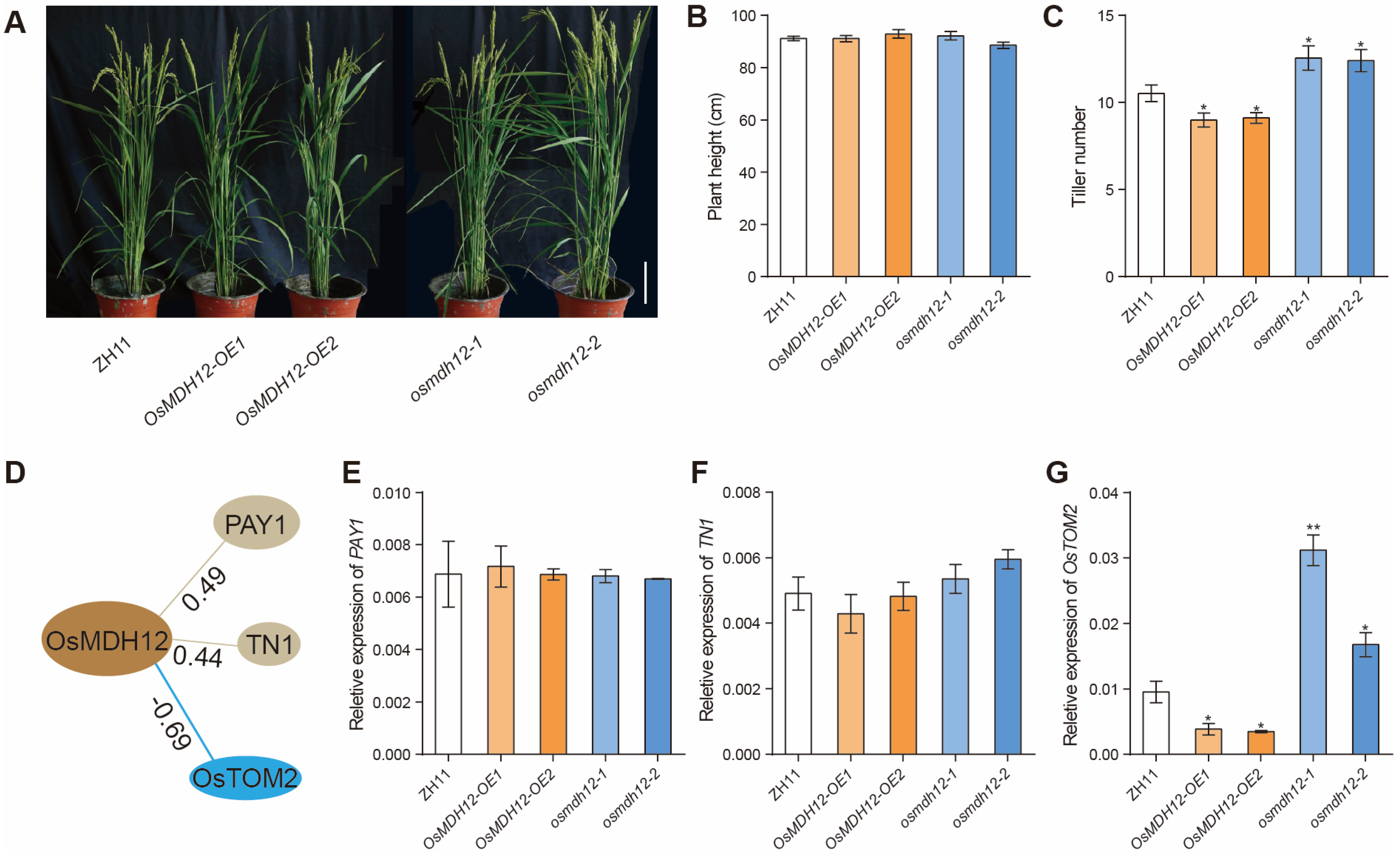Plants 12 03558 g004