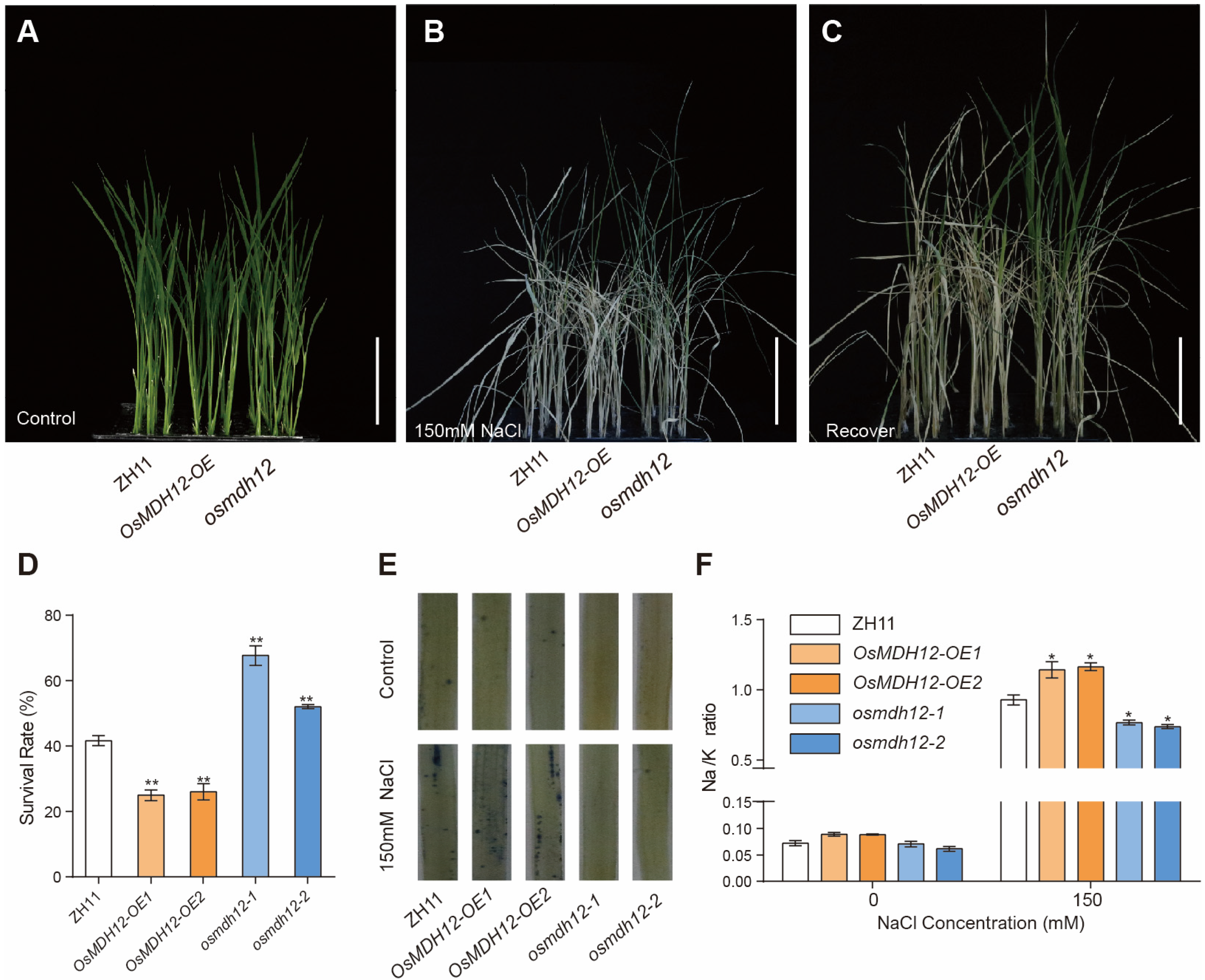 Plants 12 03558 g005