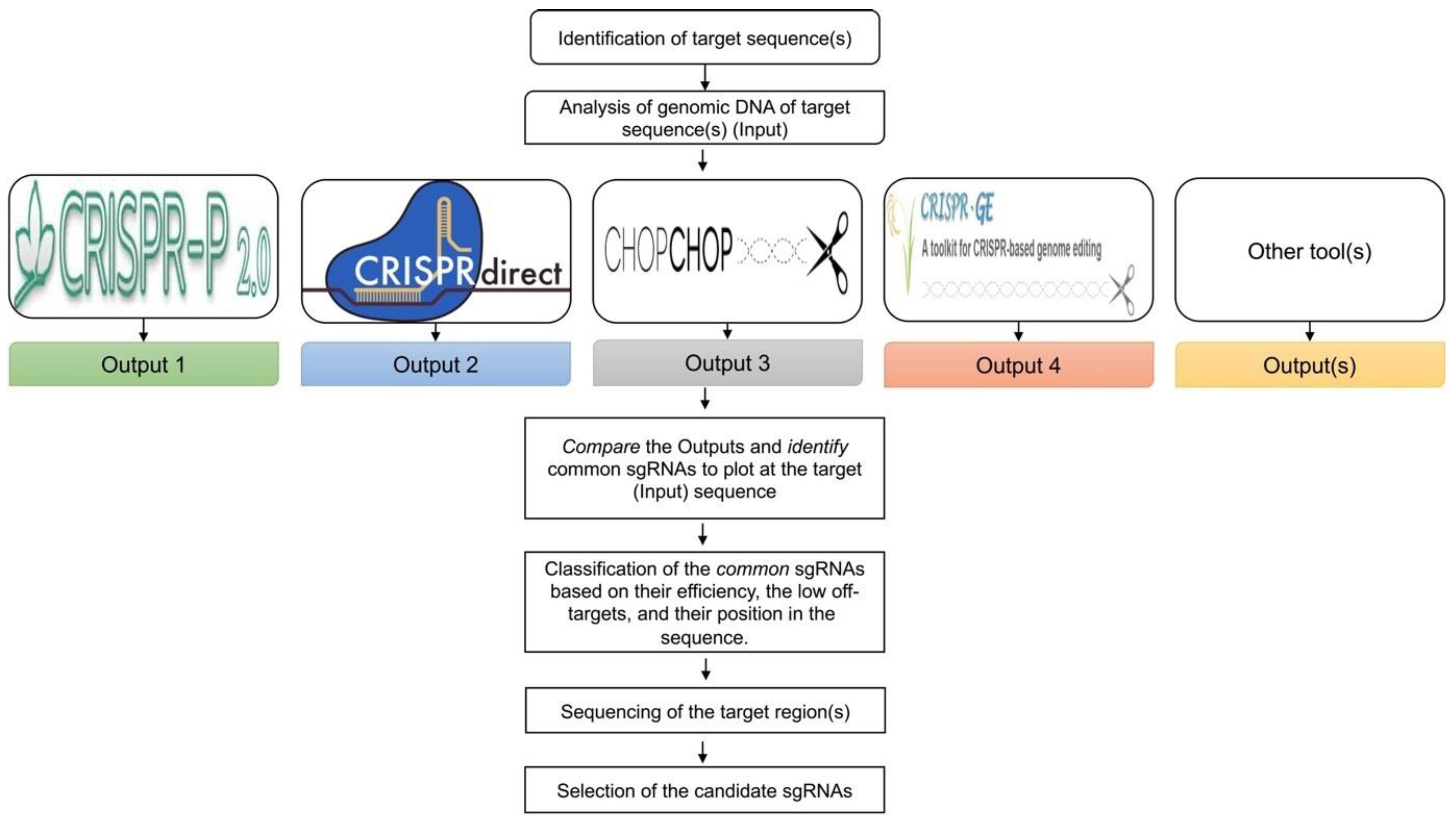 Plants 12 03564 g002