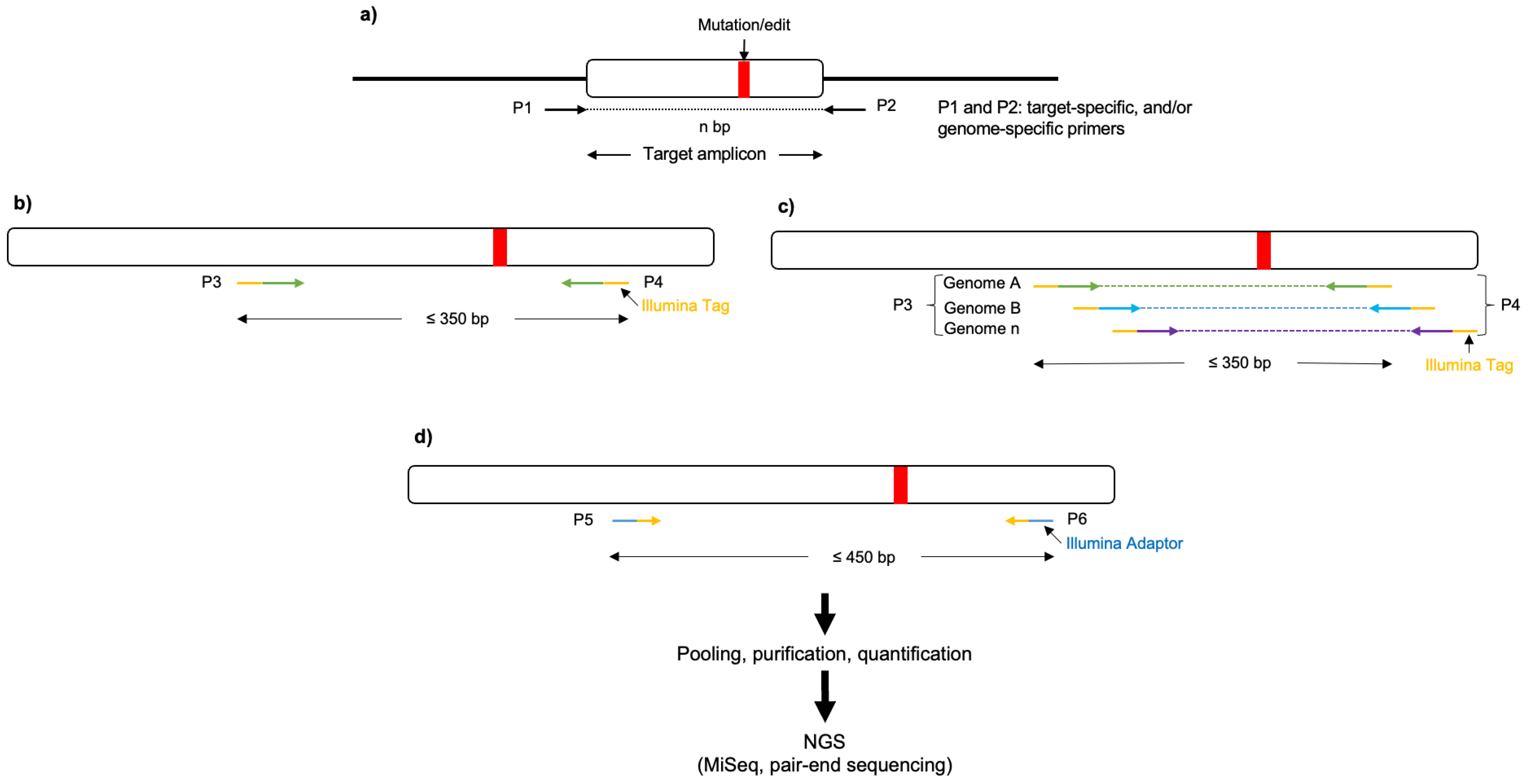 Plants 12 03564 g003