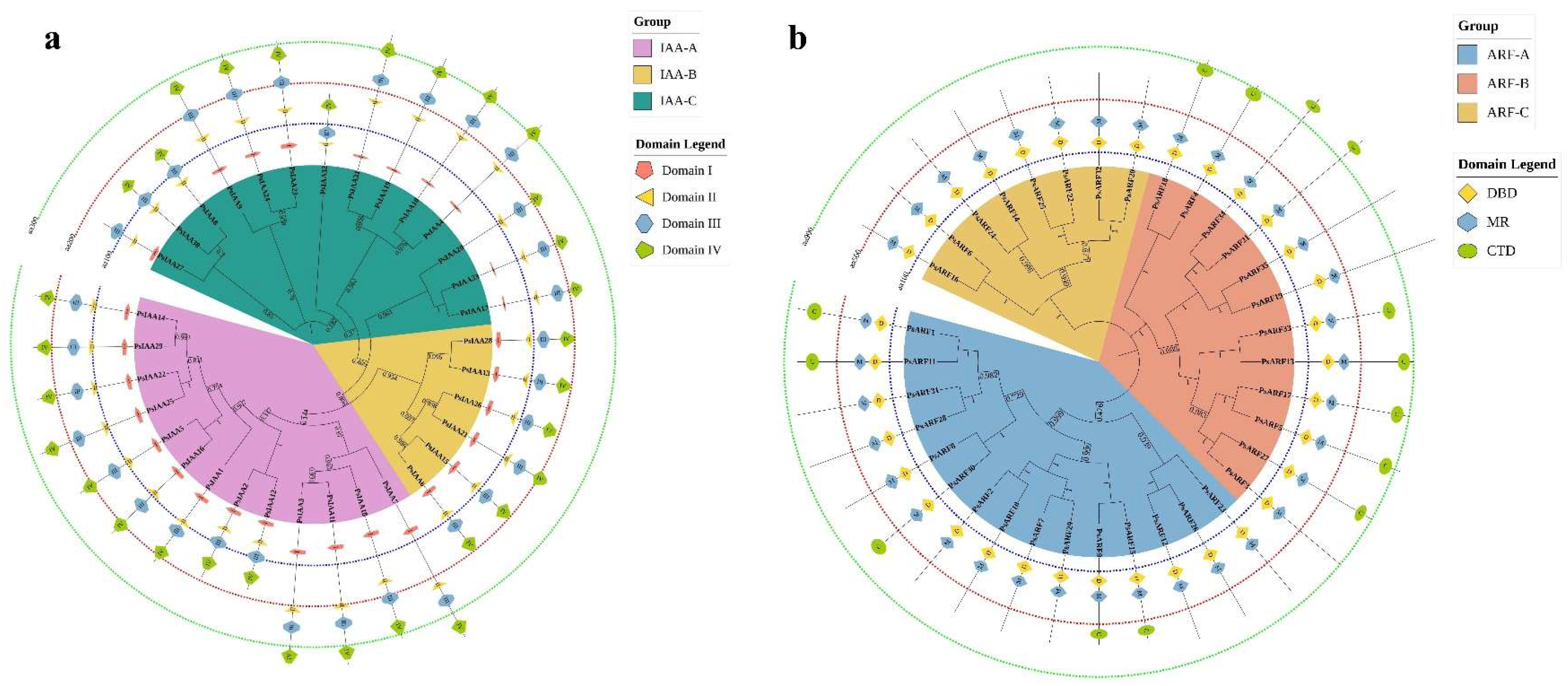 Plants 12 03566 g001