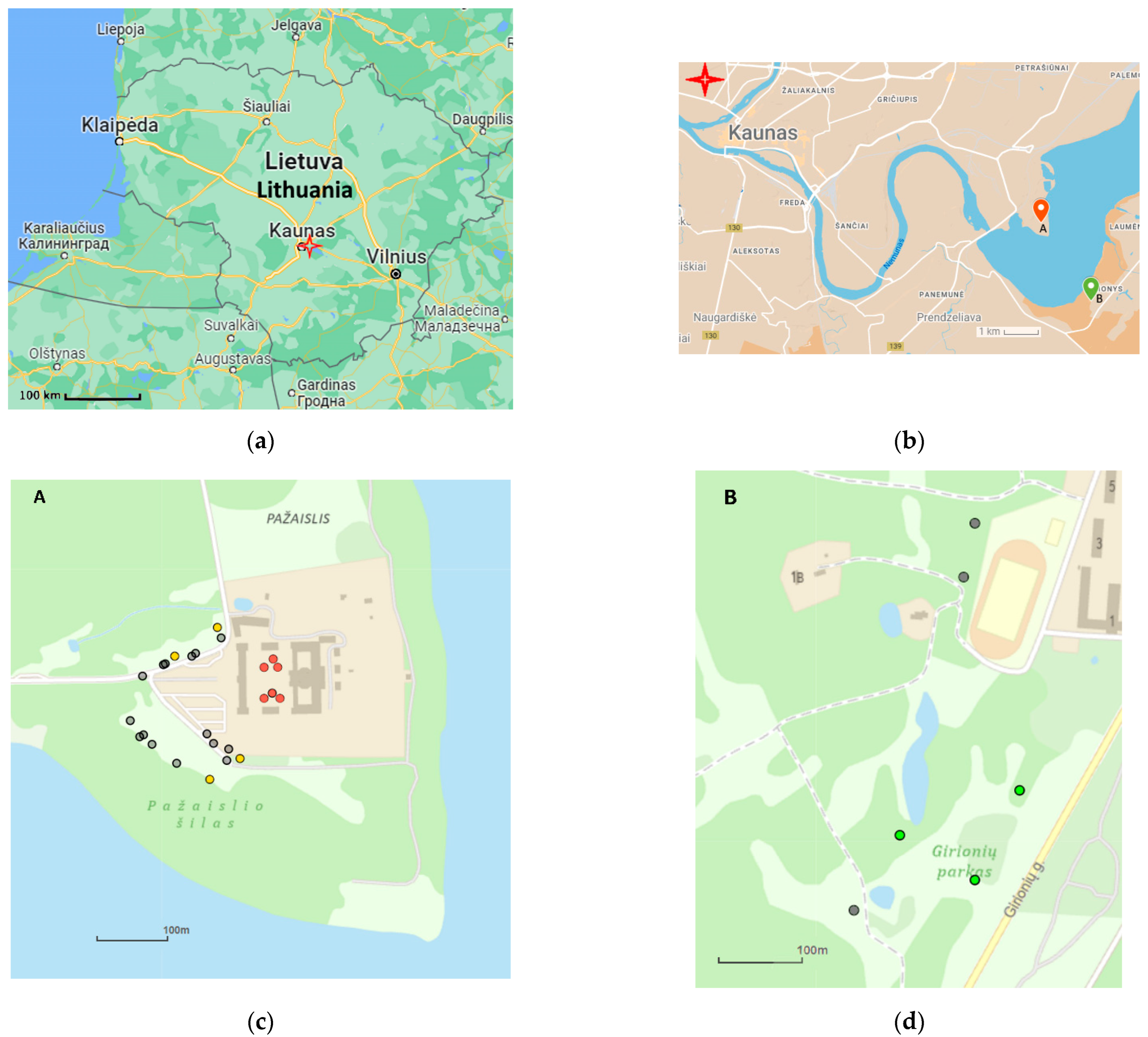 Plants 12 03567 g001