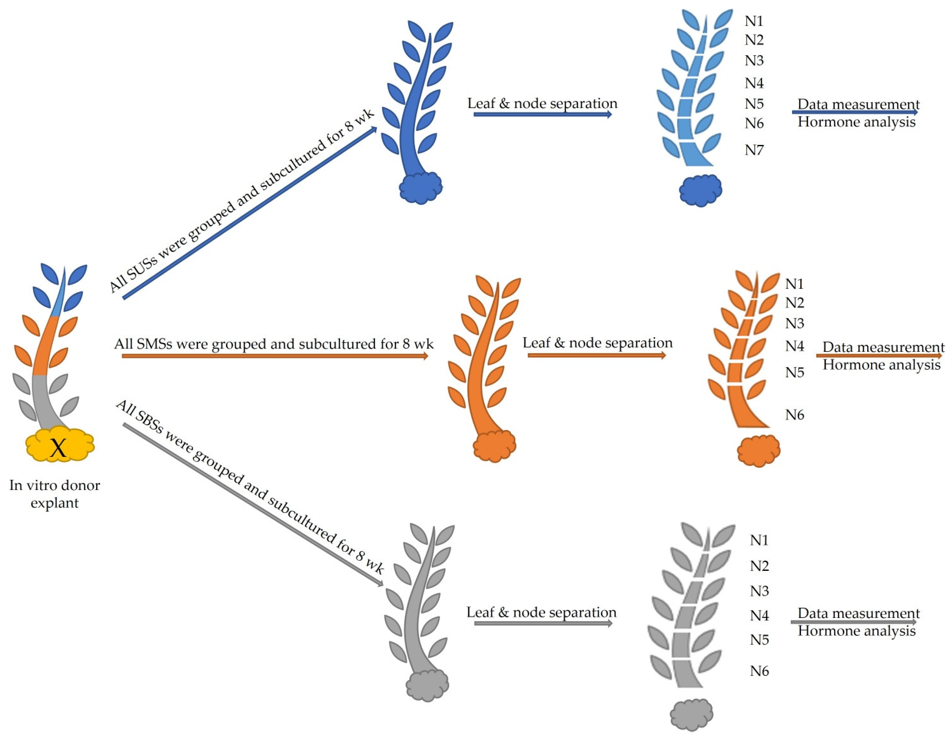 Plants 12 03577 g018