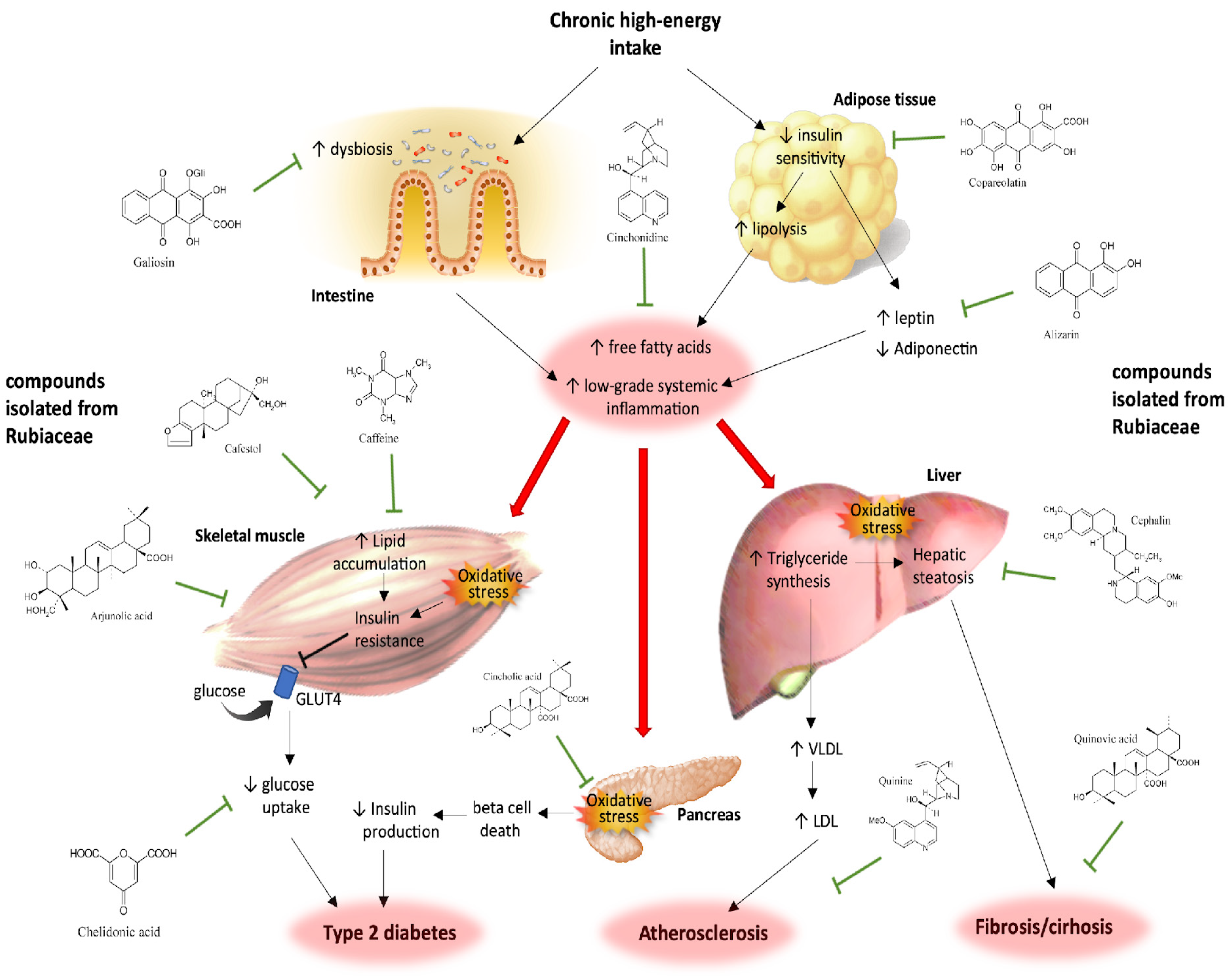 Plants 12 03583 g001