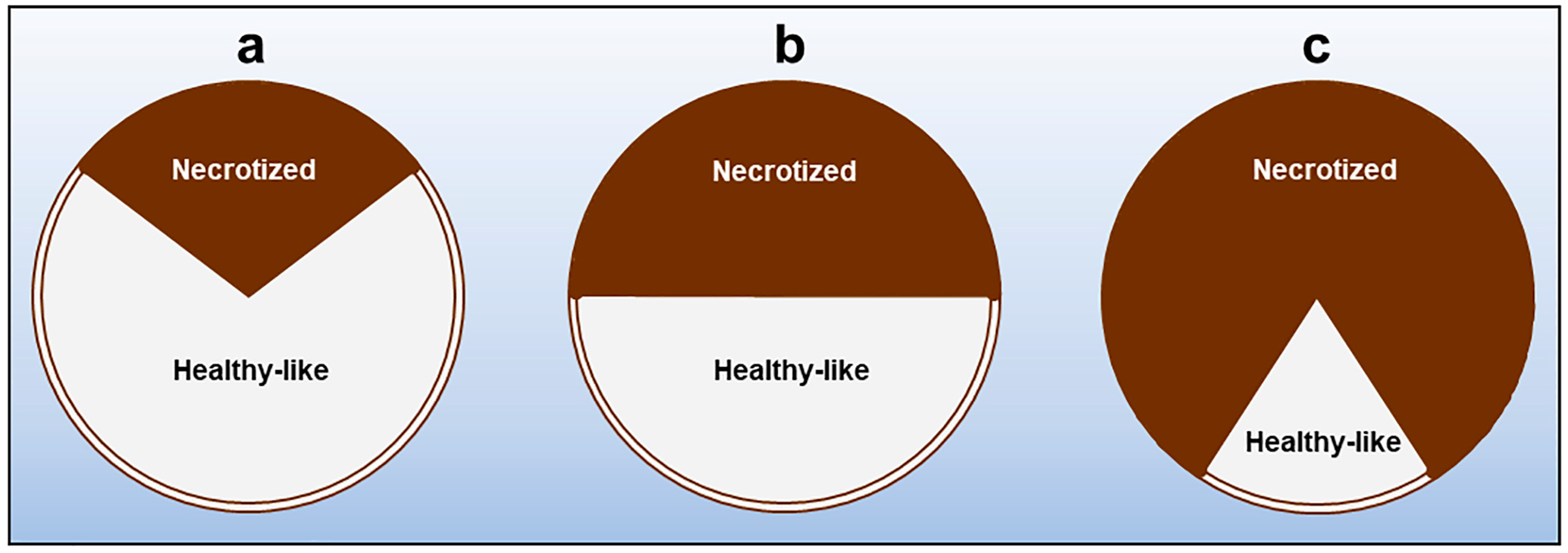 Plants 12 03593 g010