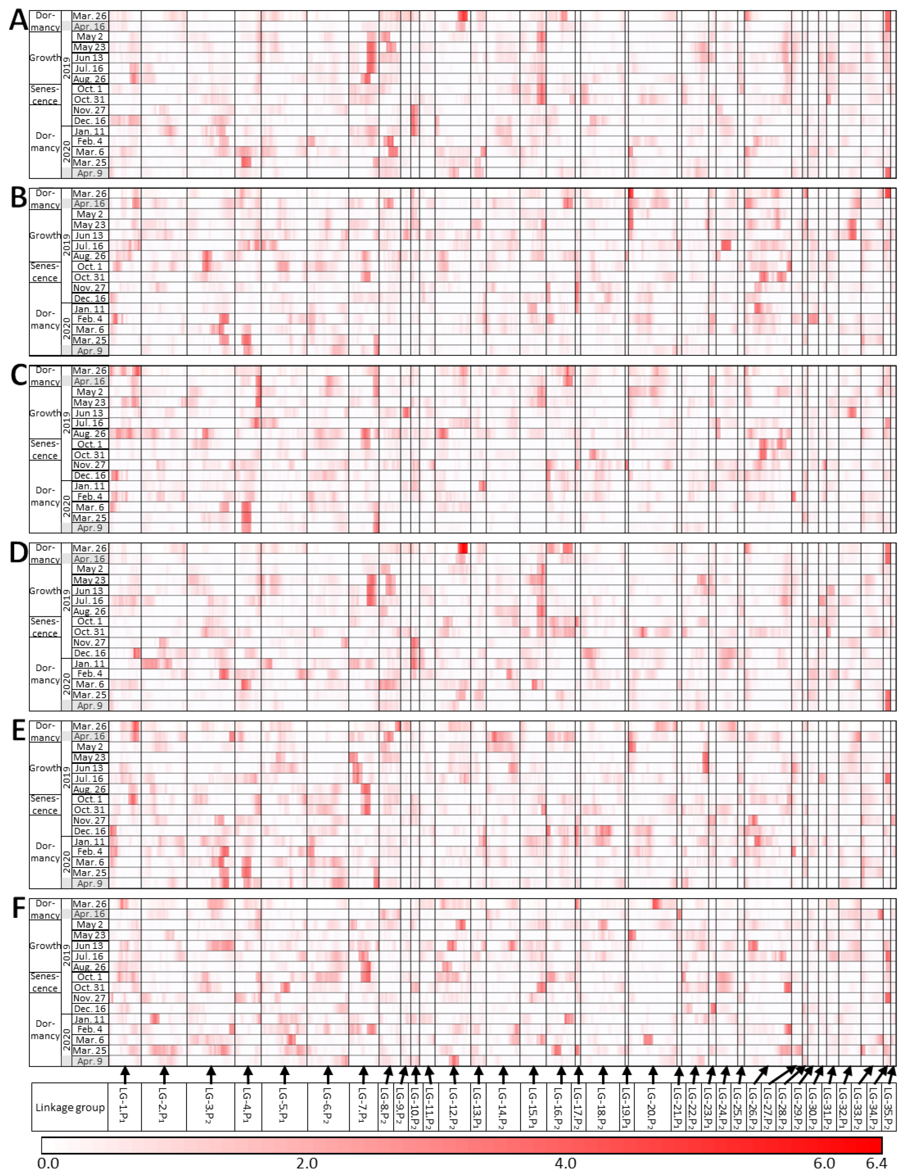 Plants 12 03597 g004