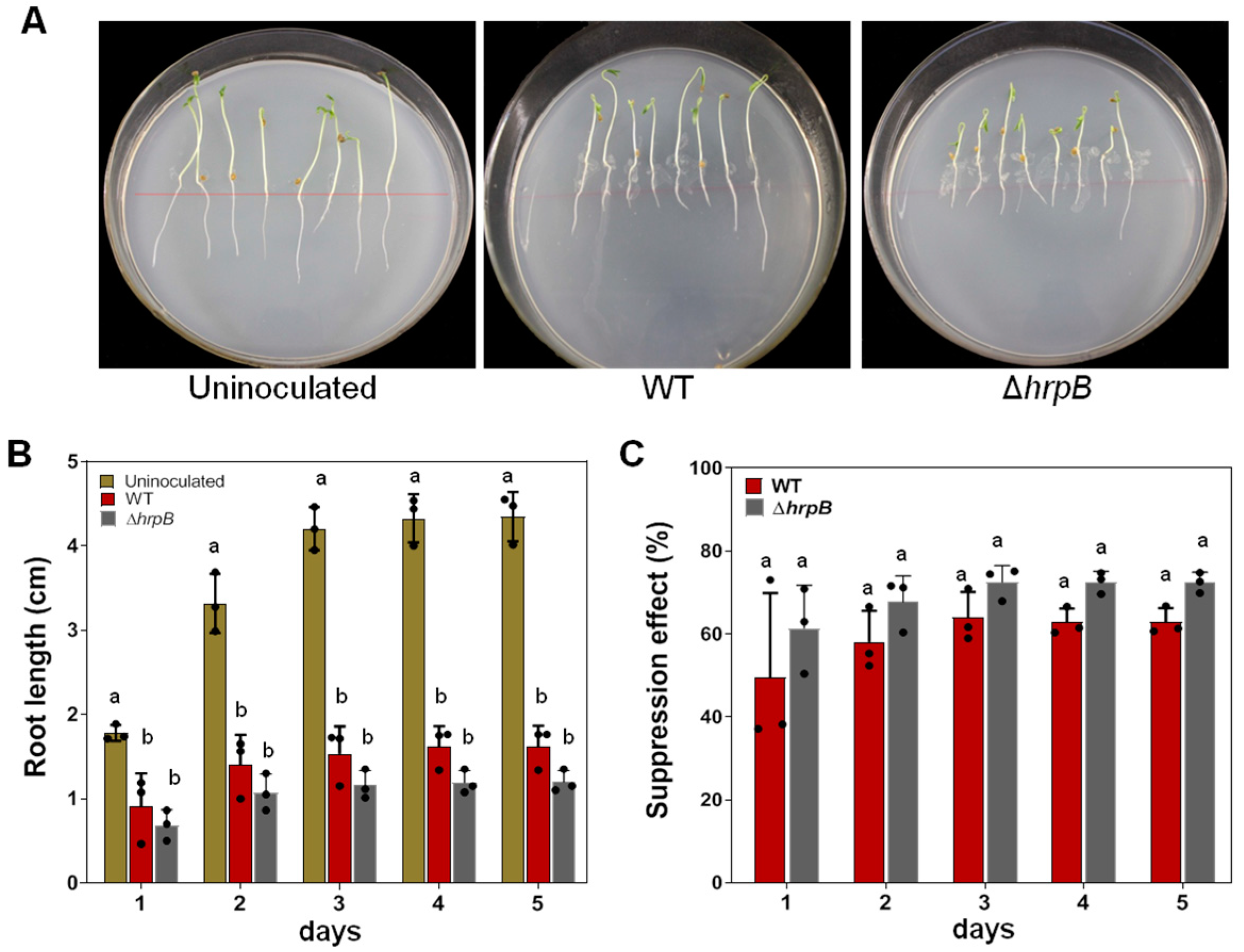 Plants 12 03600 g002