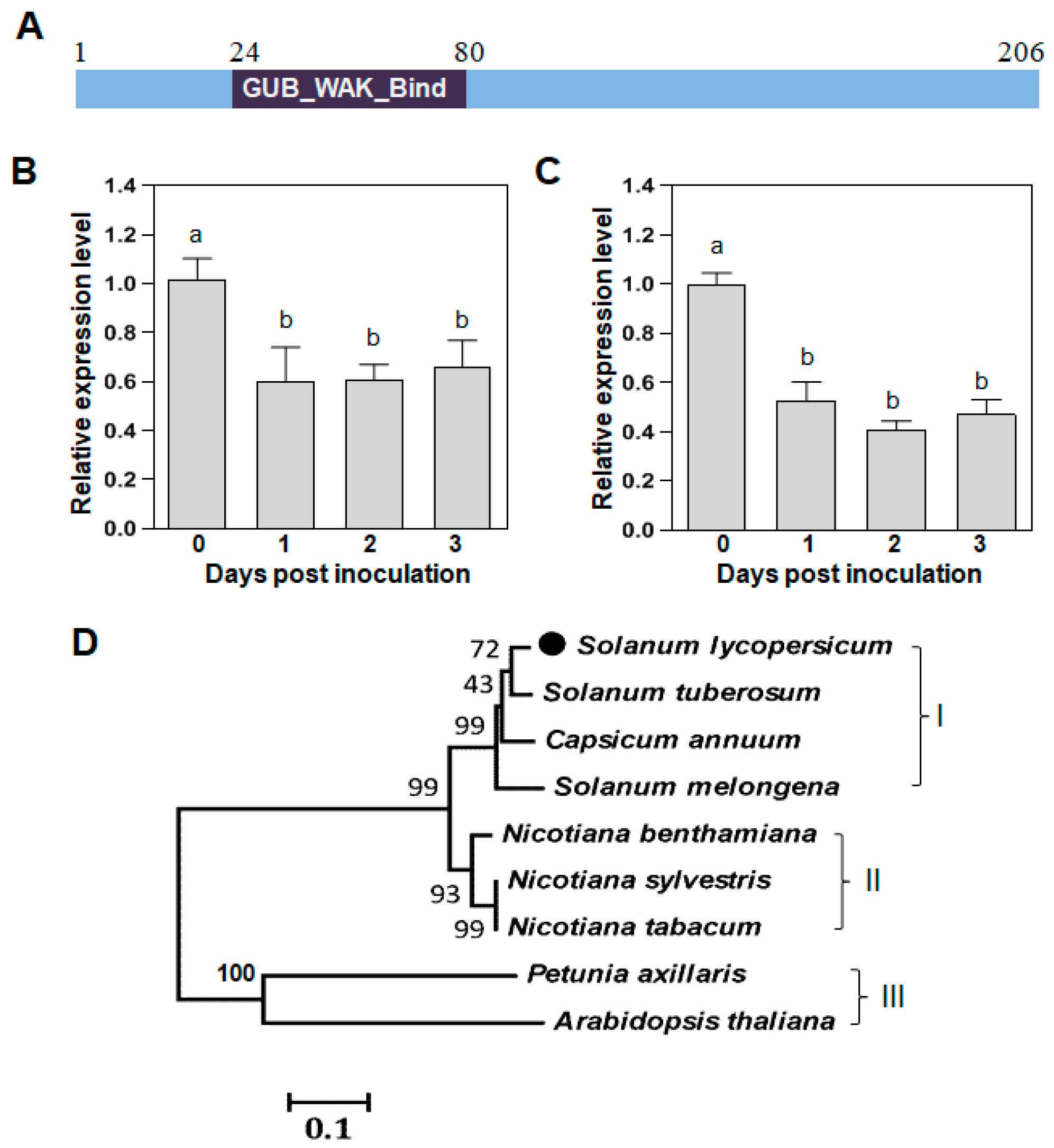 Plants 12 03600 g004