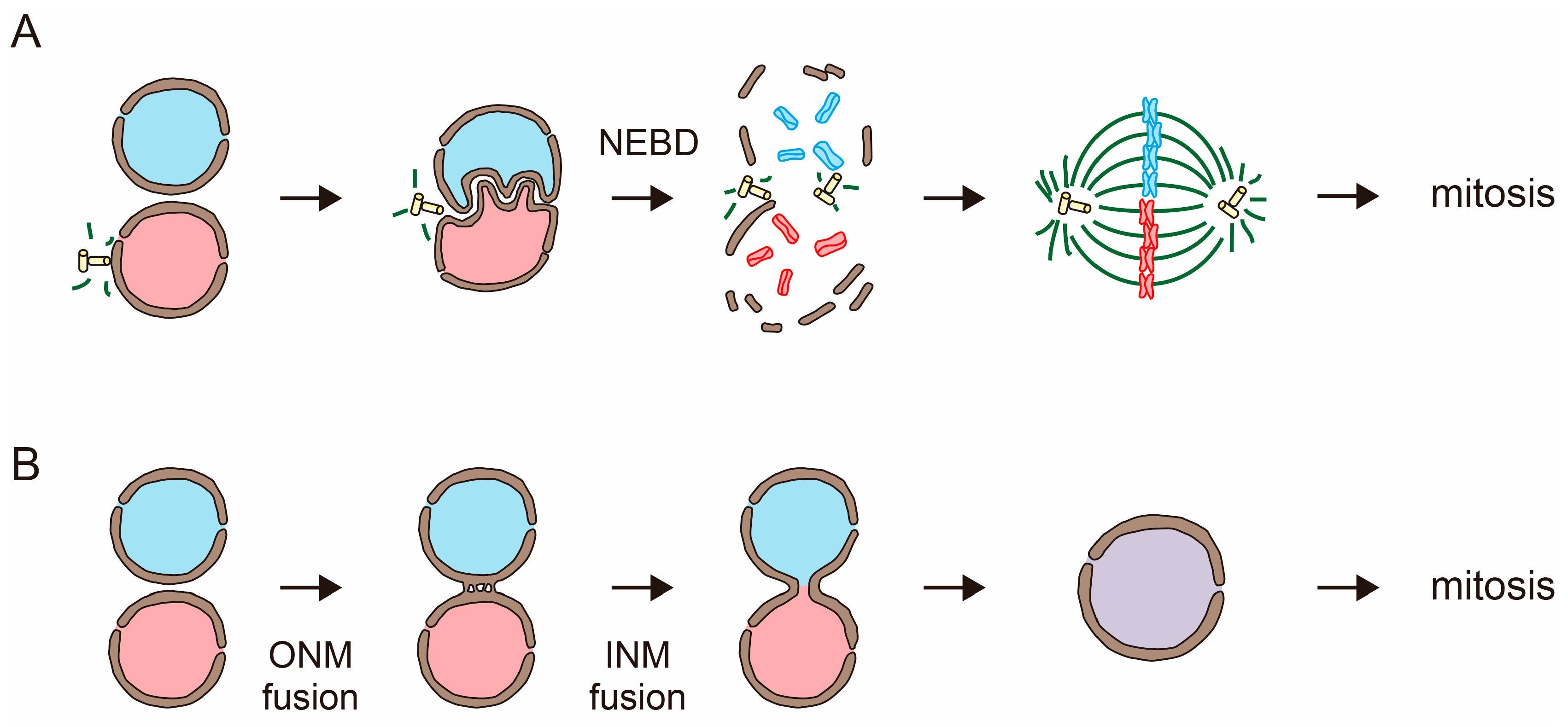 Plants 12 03608 g001