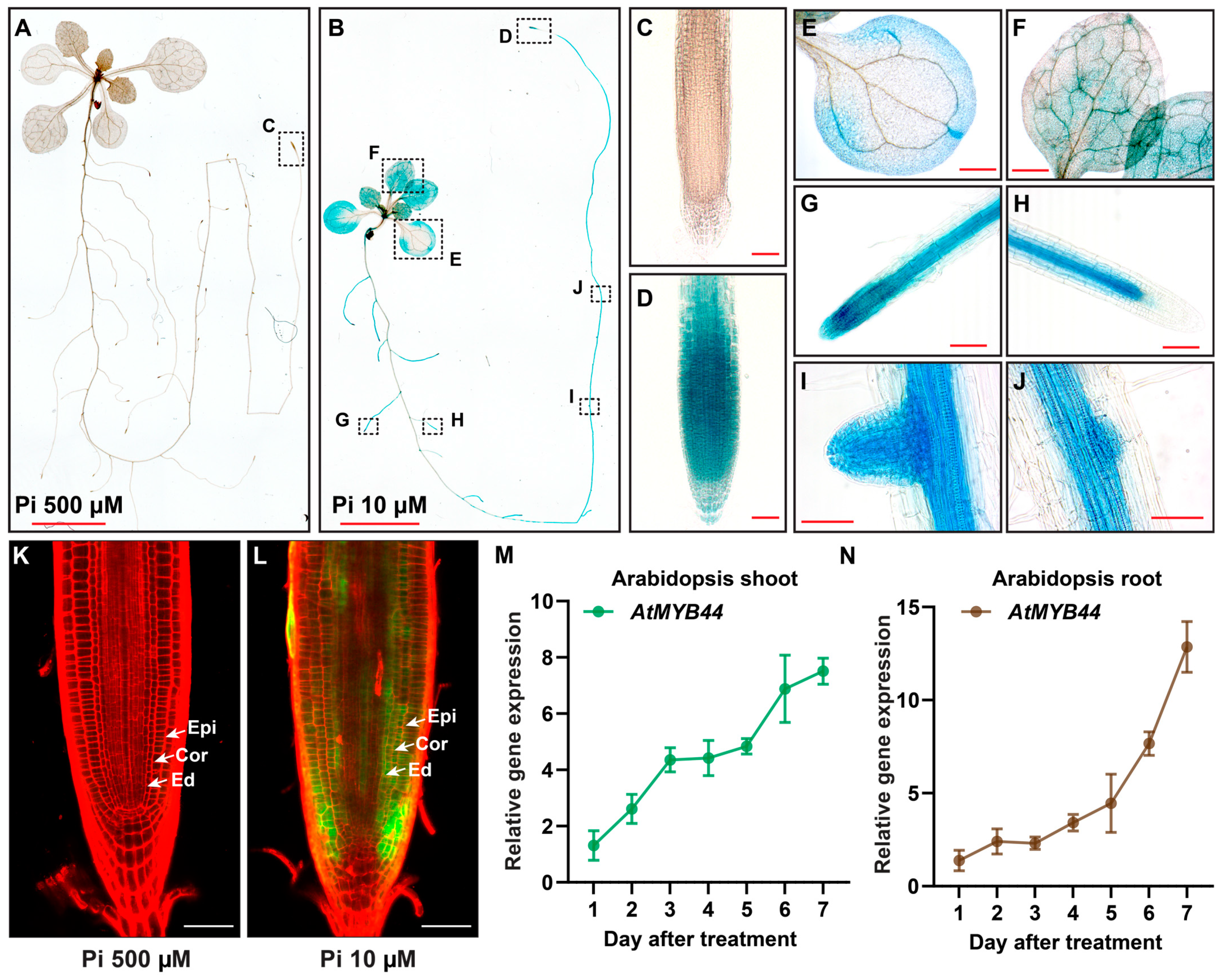 Plants 12 03617 g002