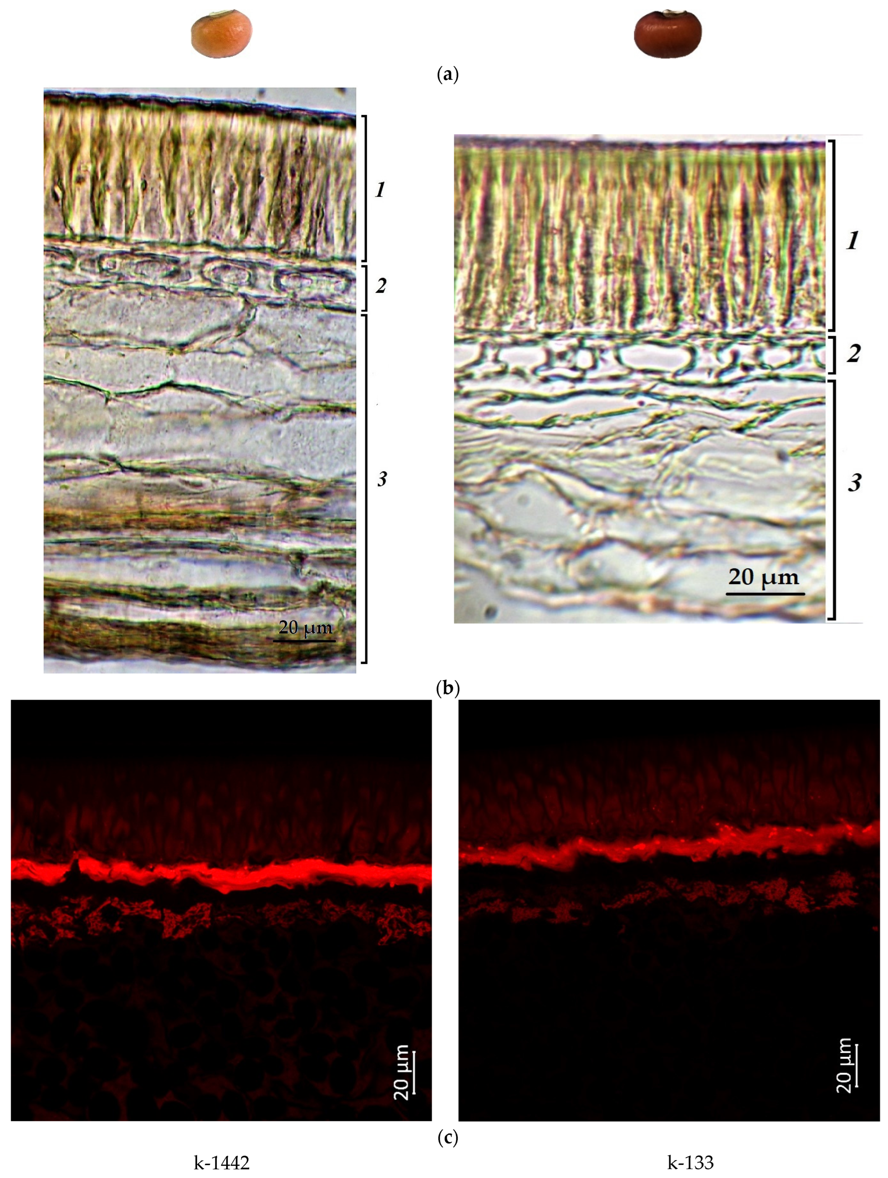 Plants 12 03624 g002 Plants 12 03624 g002
