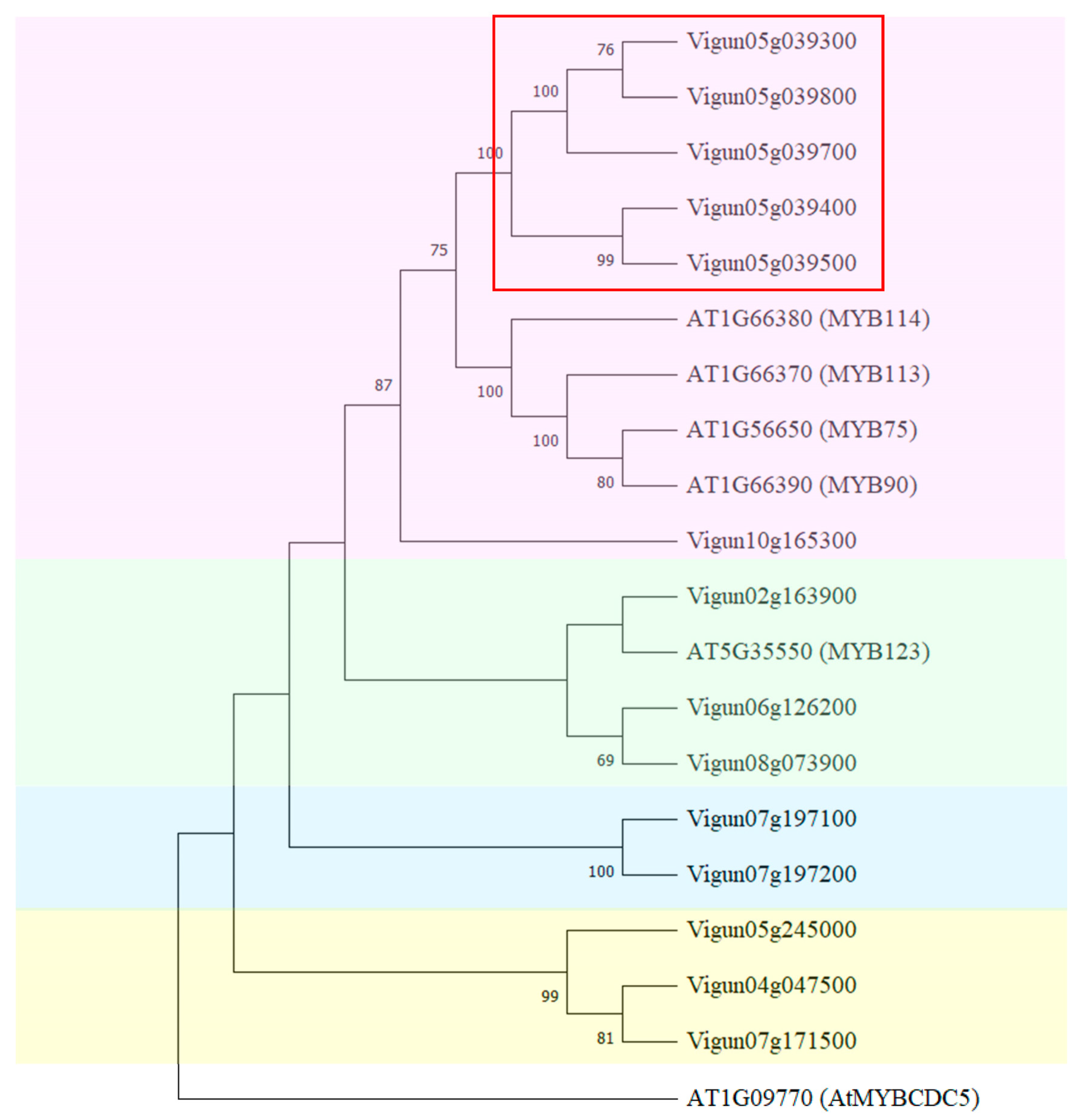 Plants 12 03624 g005 Plants 12 03624 g005