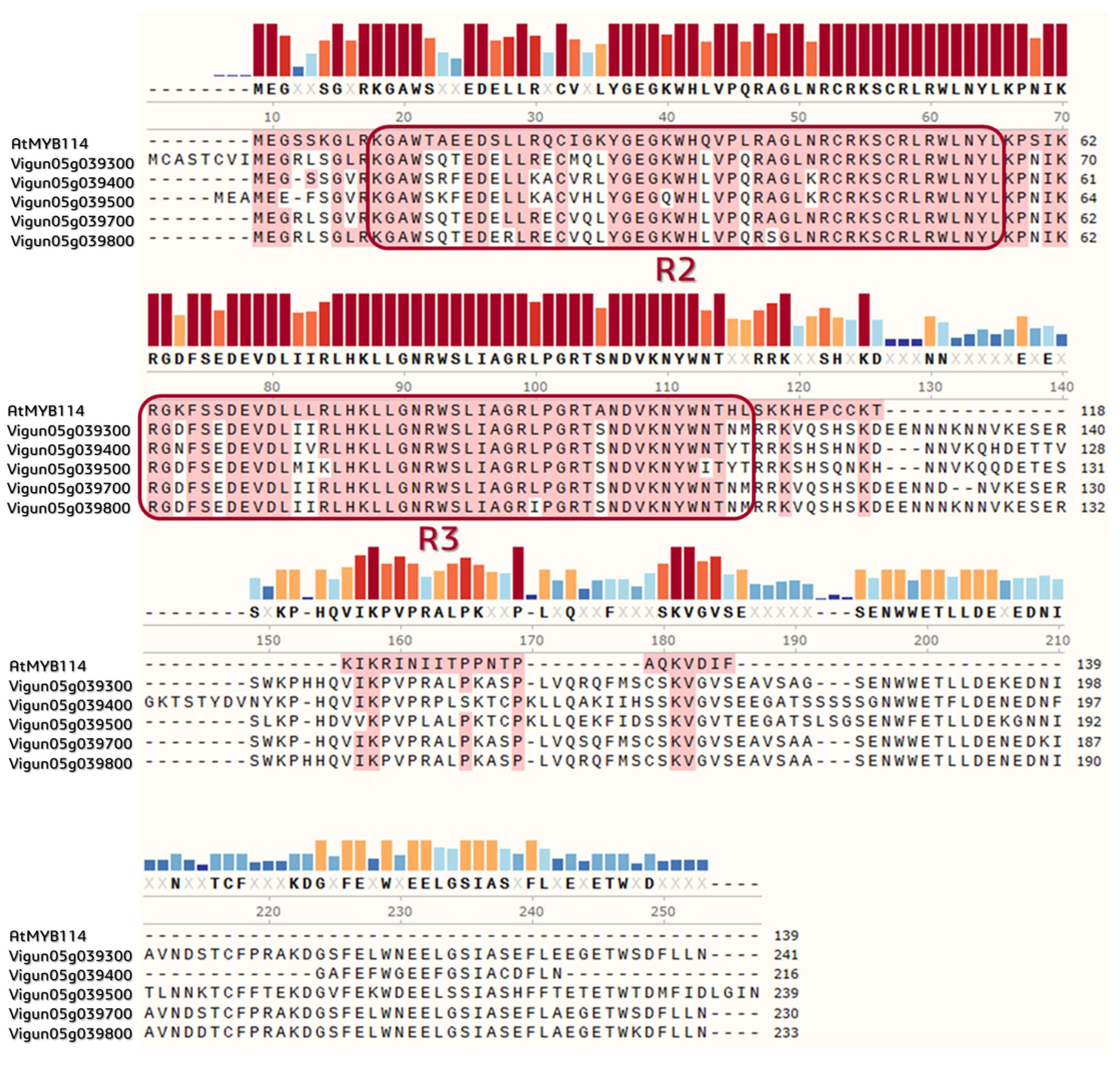 Plants 12 03624 g006 Plants 12 03624 g006