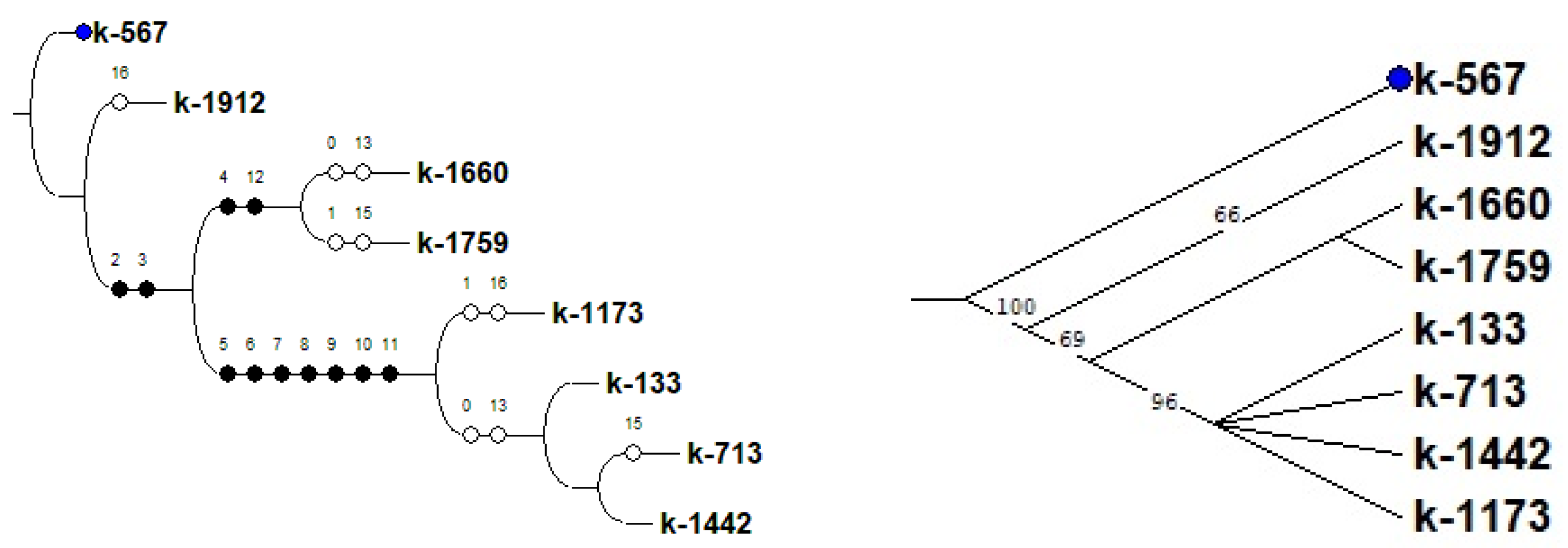 Plants 12 03624 g009 Plants 12 03624 g009