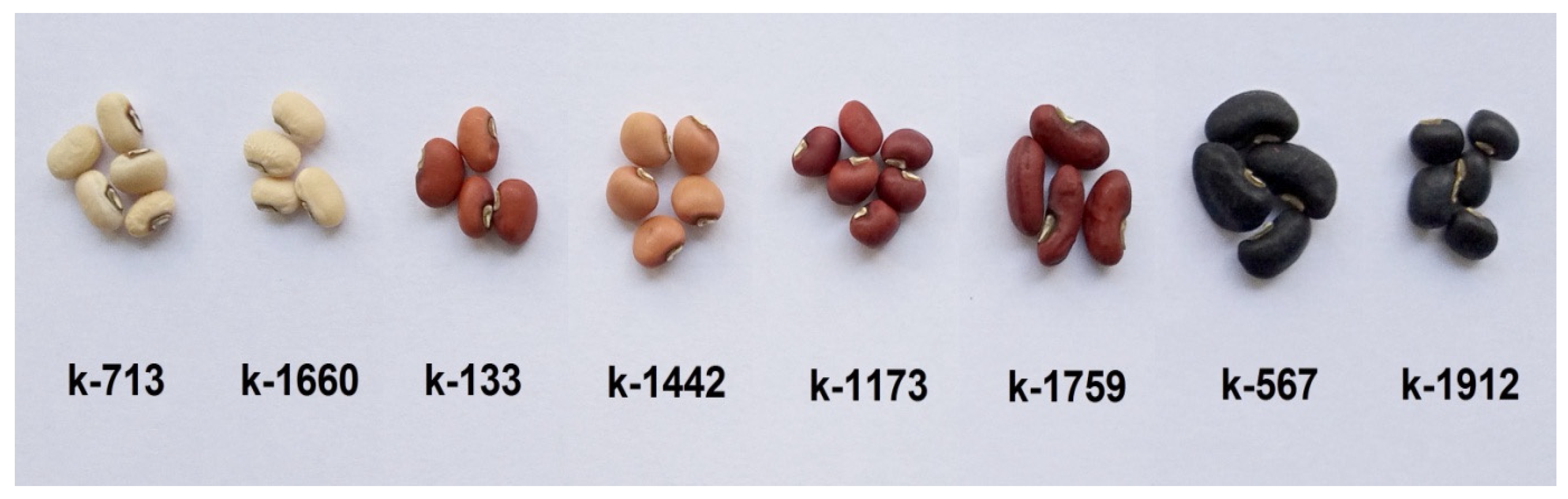 Plants 12 03624 g010 Plants 12 03624 g010