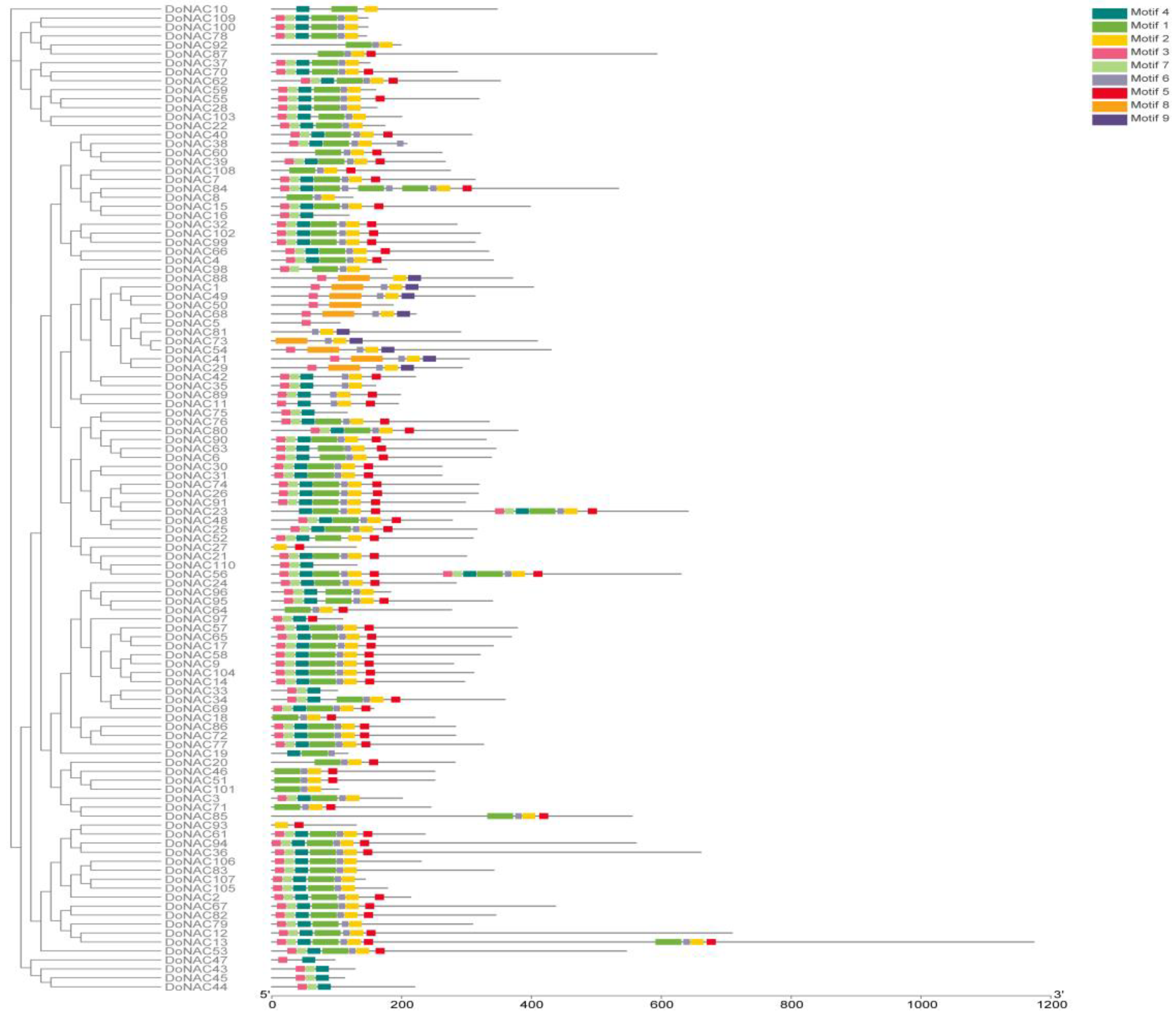 Plants 12 03626 g003
