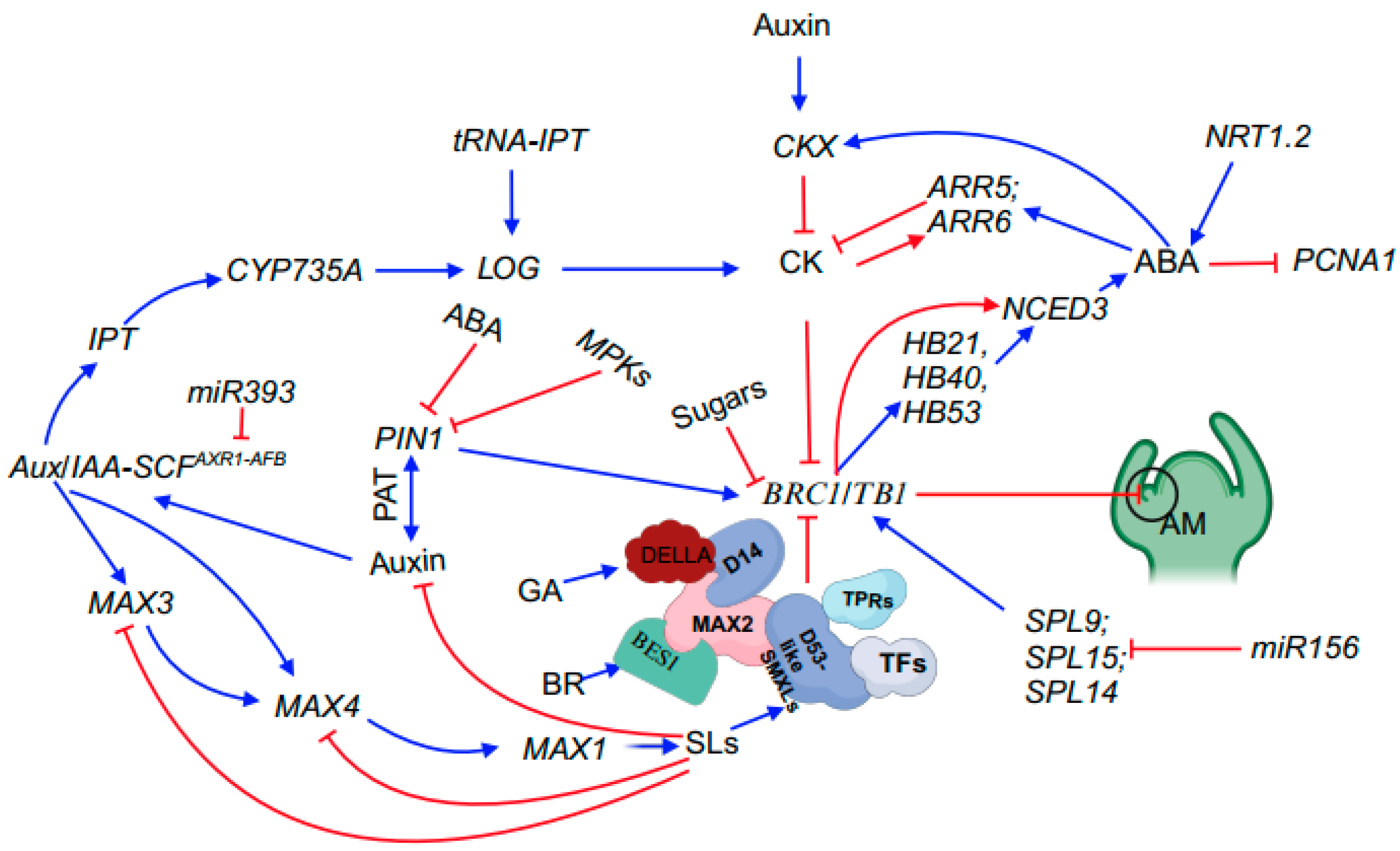 Plants 12 03628 g002