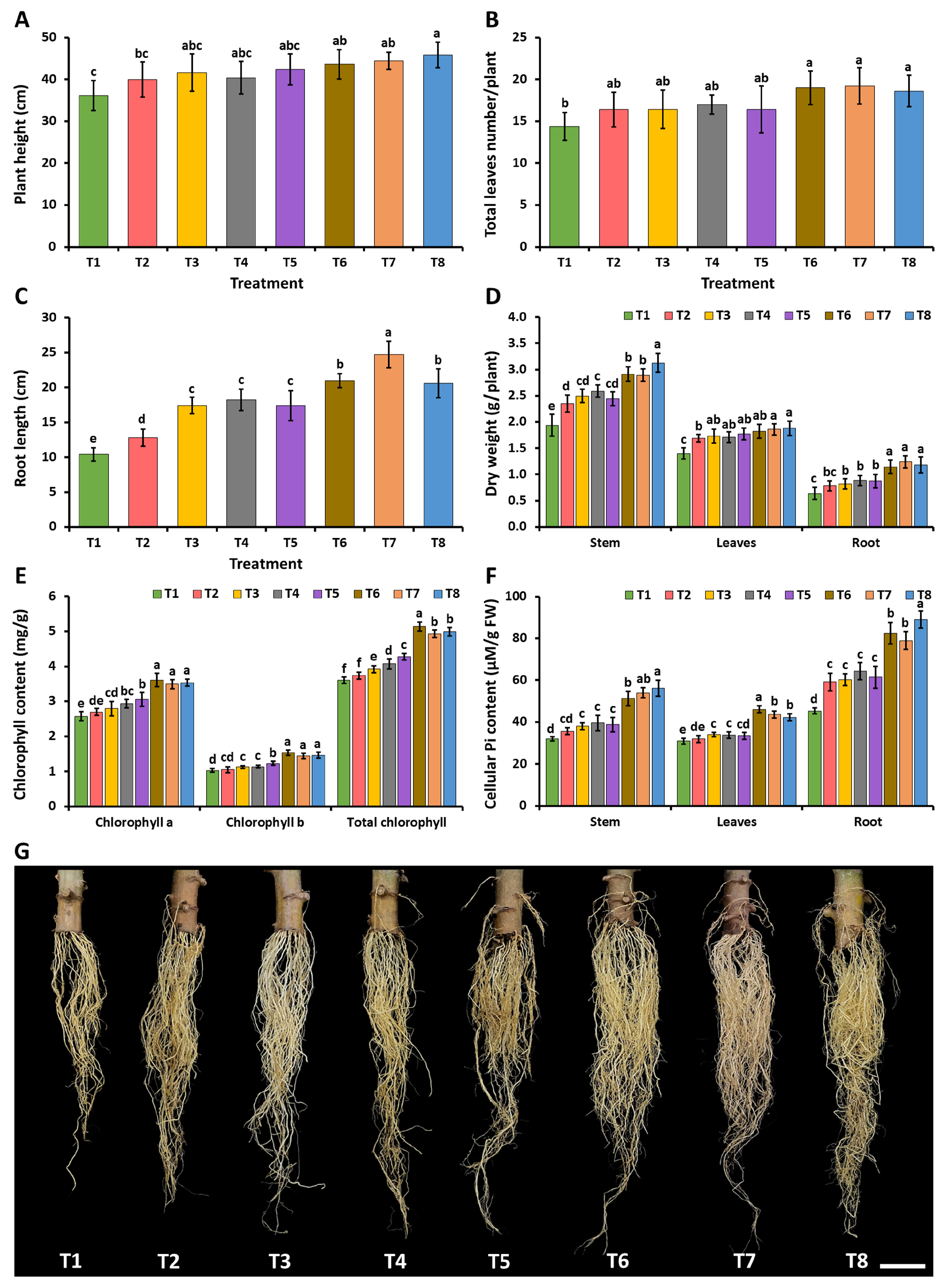 Plants 12 03630 g008