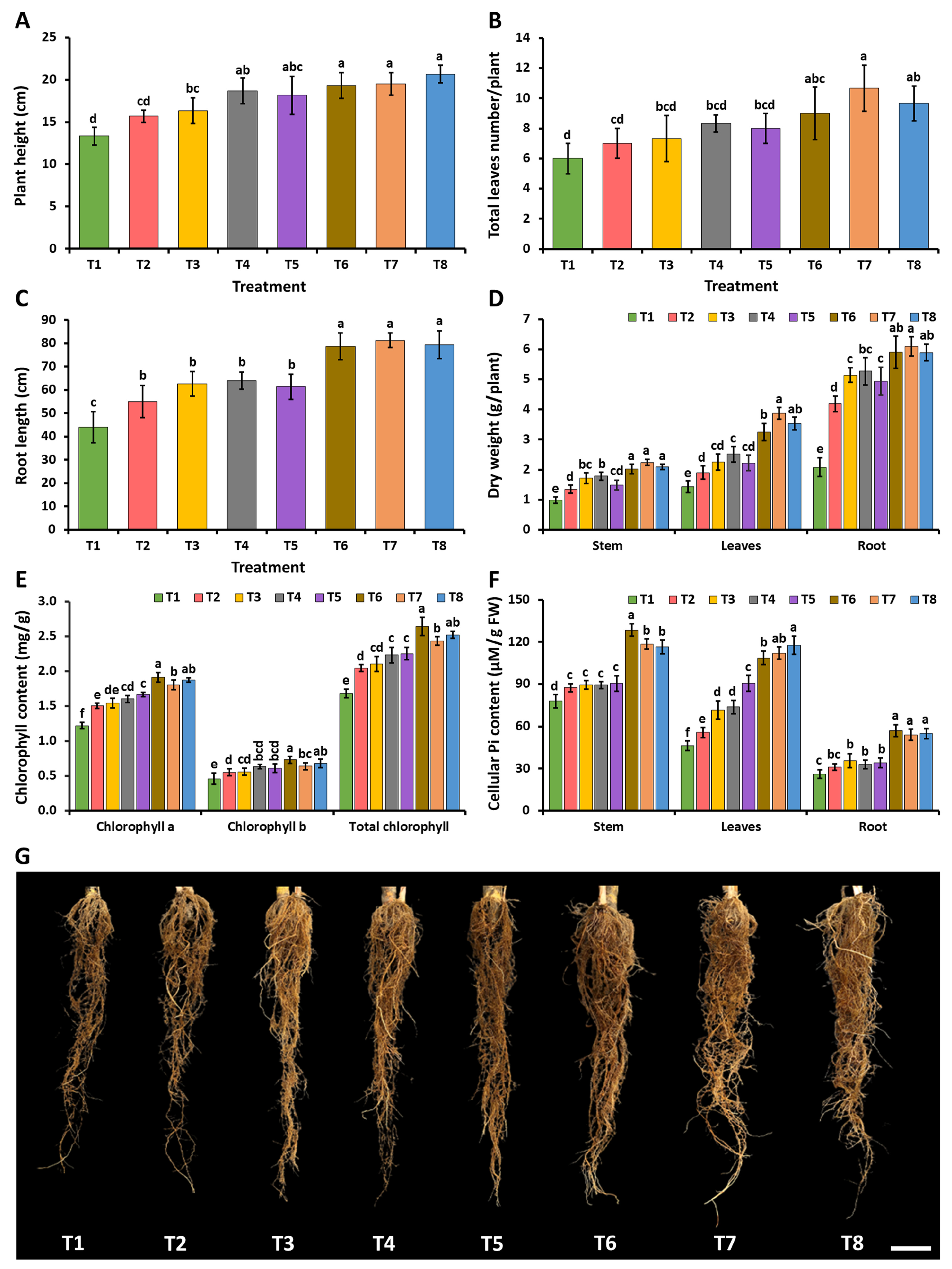 Plants 12 03630 g009