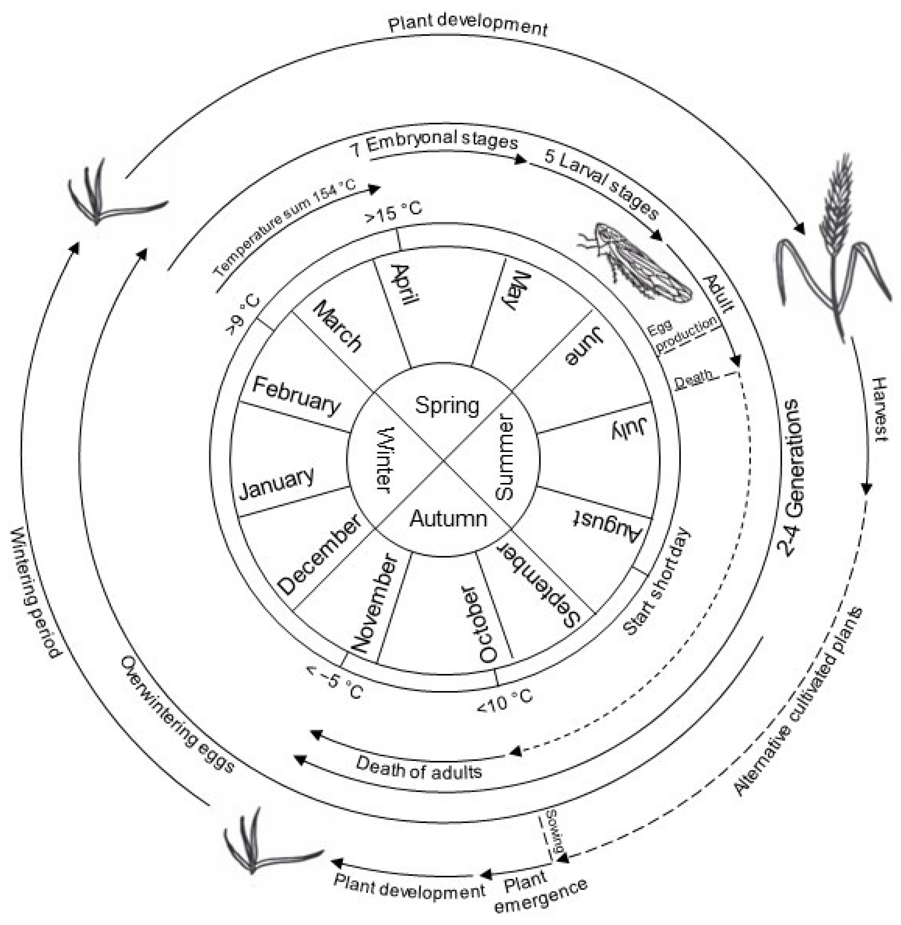 Plants 12 03633 g004 Plants 12 03633 g004