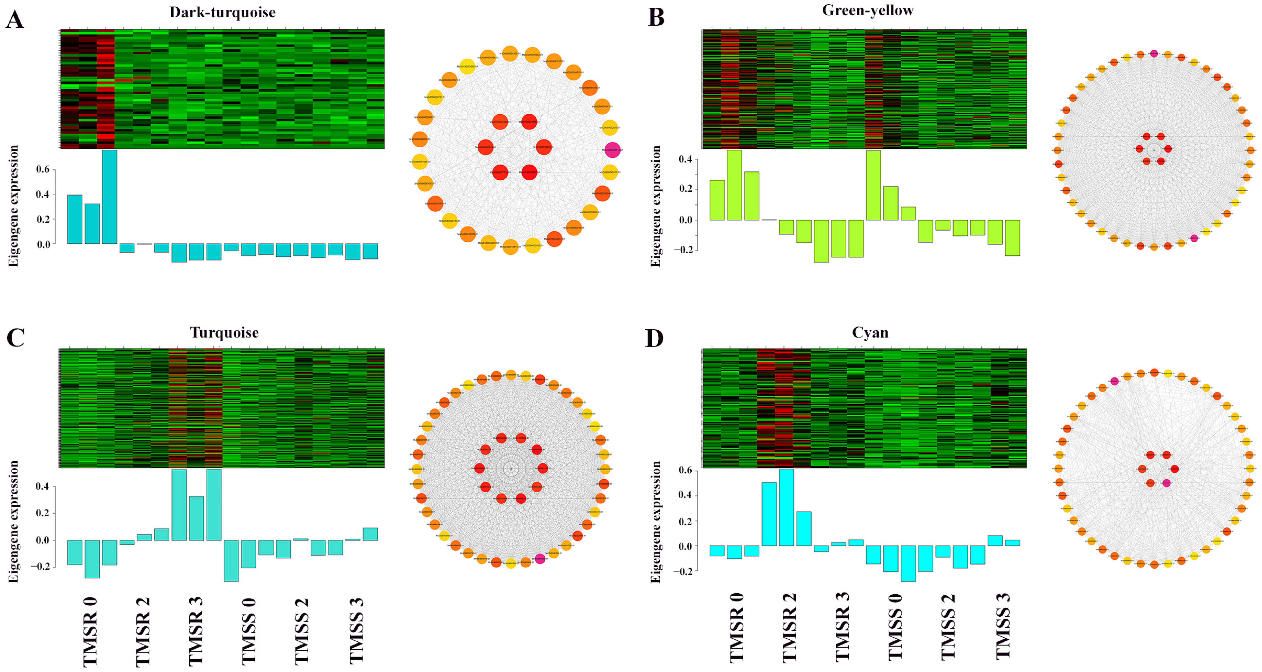 Plants 12 03634 g006