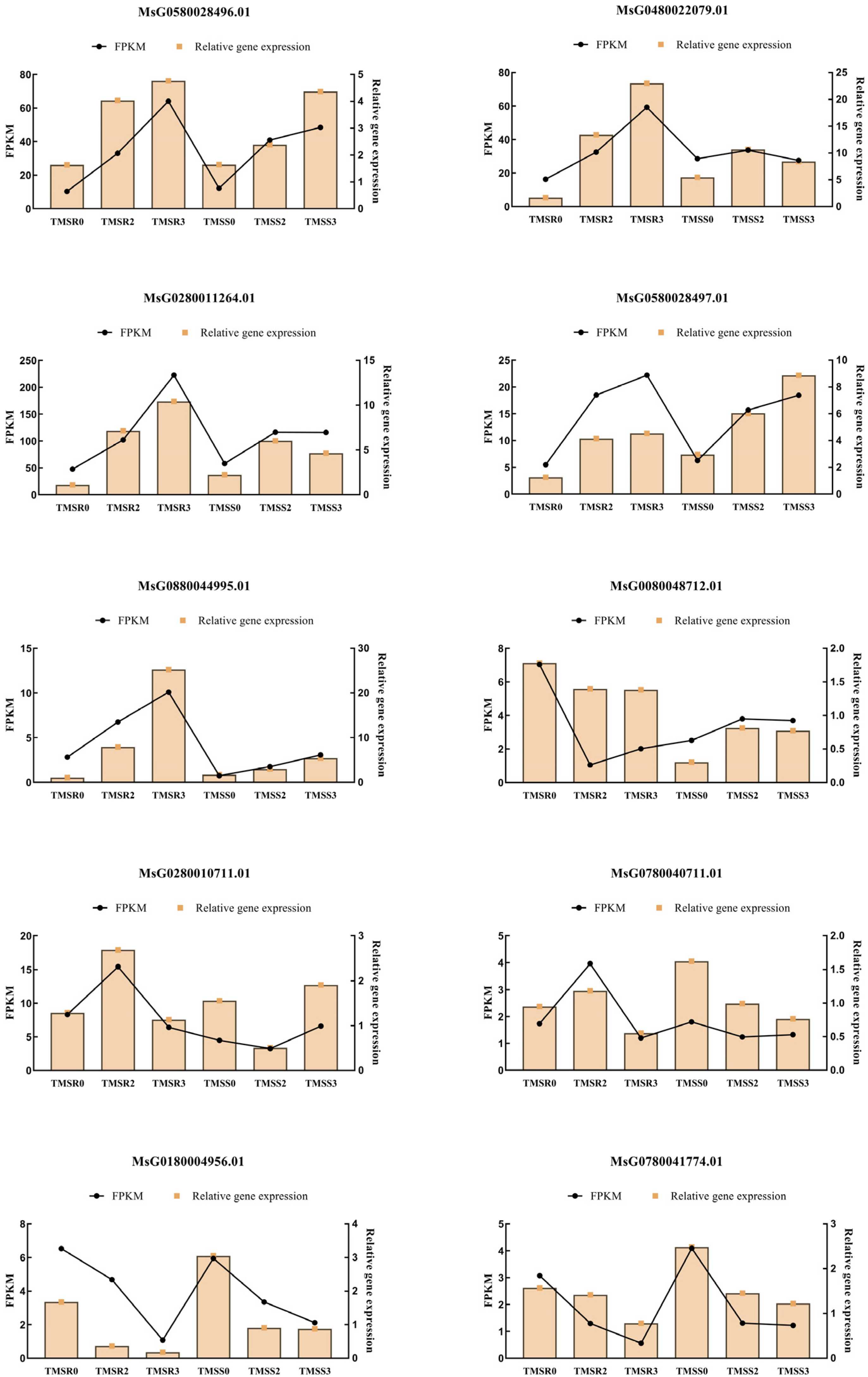 Plants 12 03634 g007