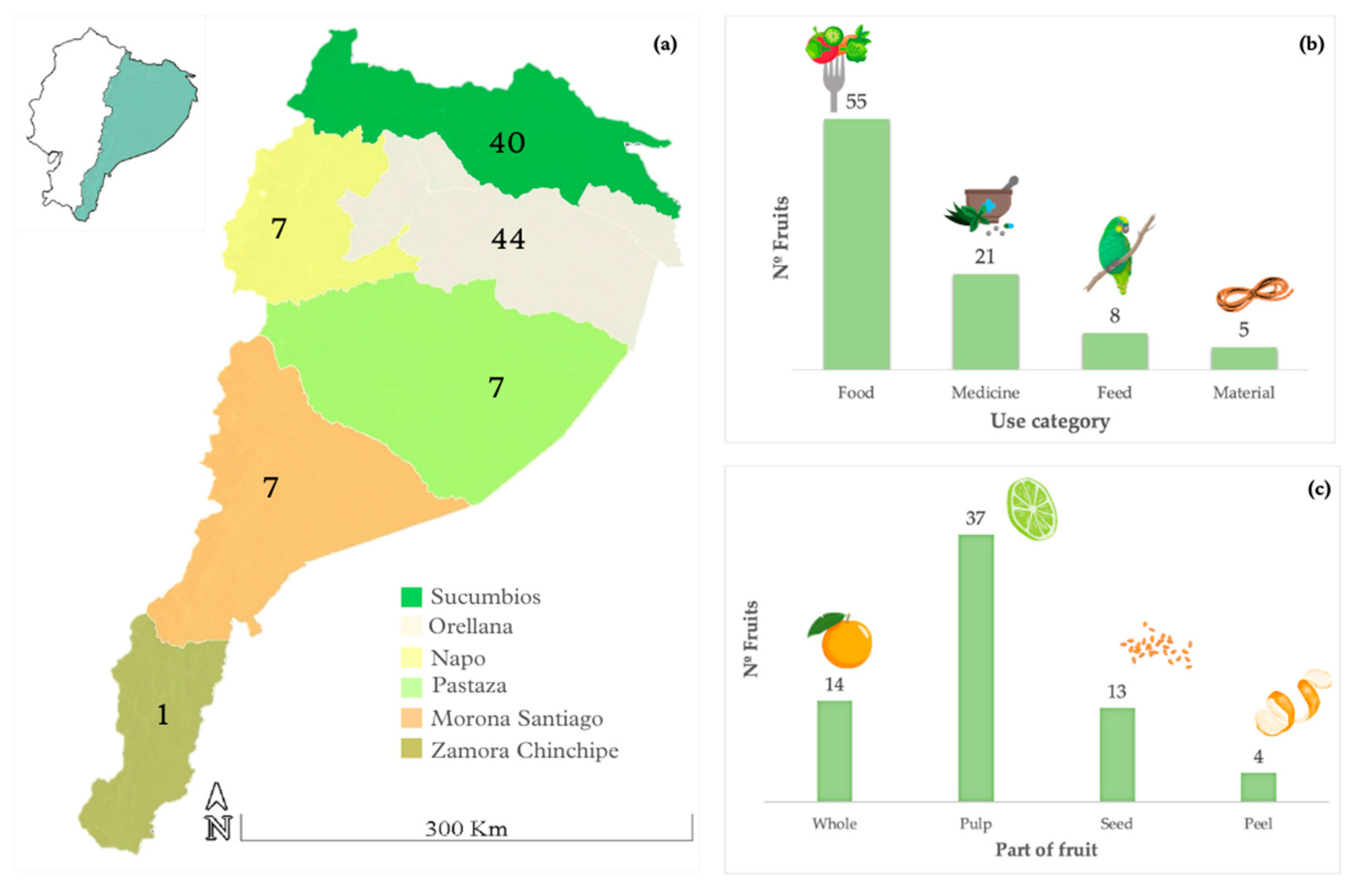 Plants | Free Full-Text | Edible Fruits from the Ecuadorian Amazon:  Ethnobotany, Physicochemical Characteristics, and Bioactive Components