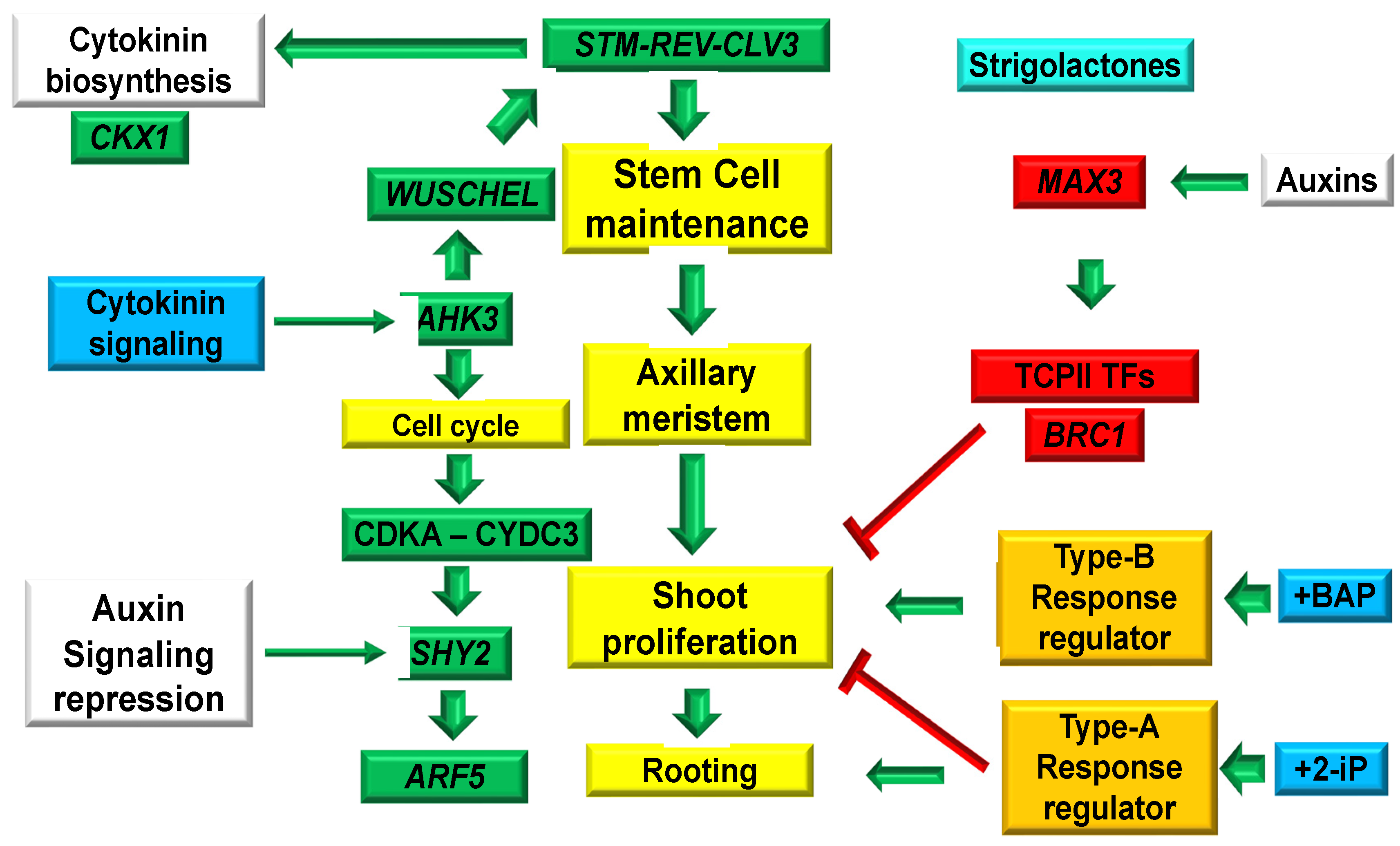 Plants 12 03637 g005