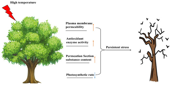 Response Mechanisms of Woody Plants to High-Temperature Stress Response Mechanisms of Woody Plants to High-Temperature Stress