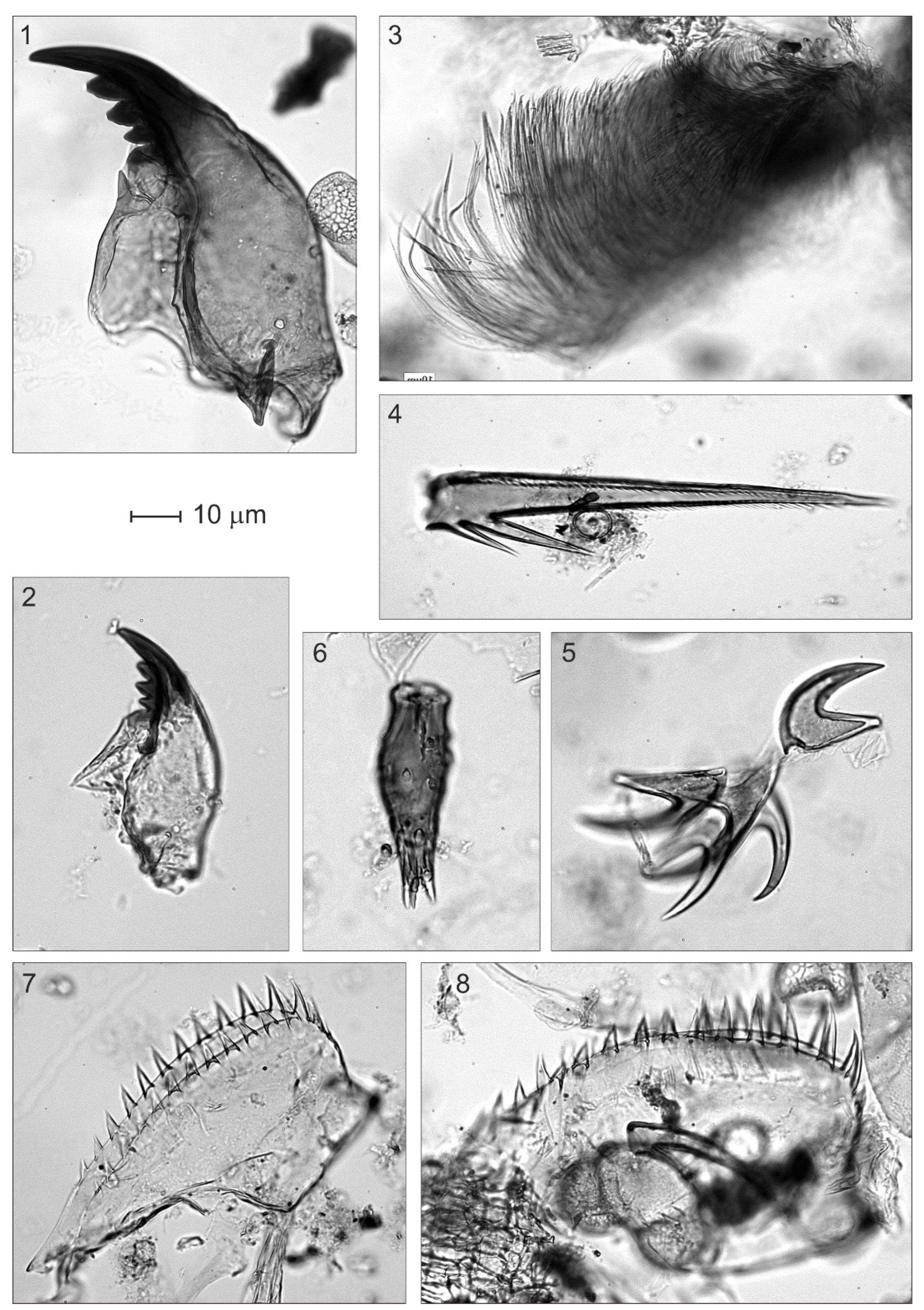 Plants 12 03644 g009