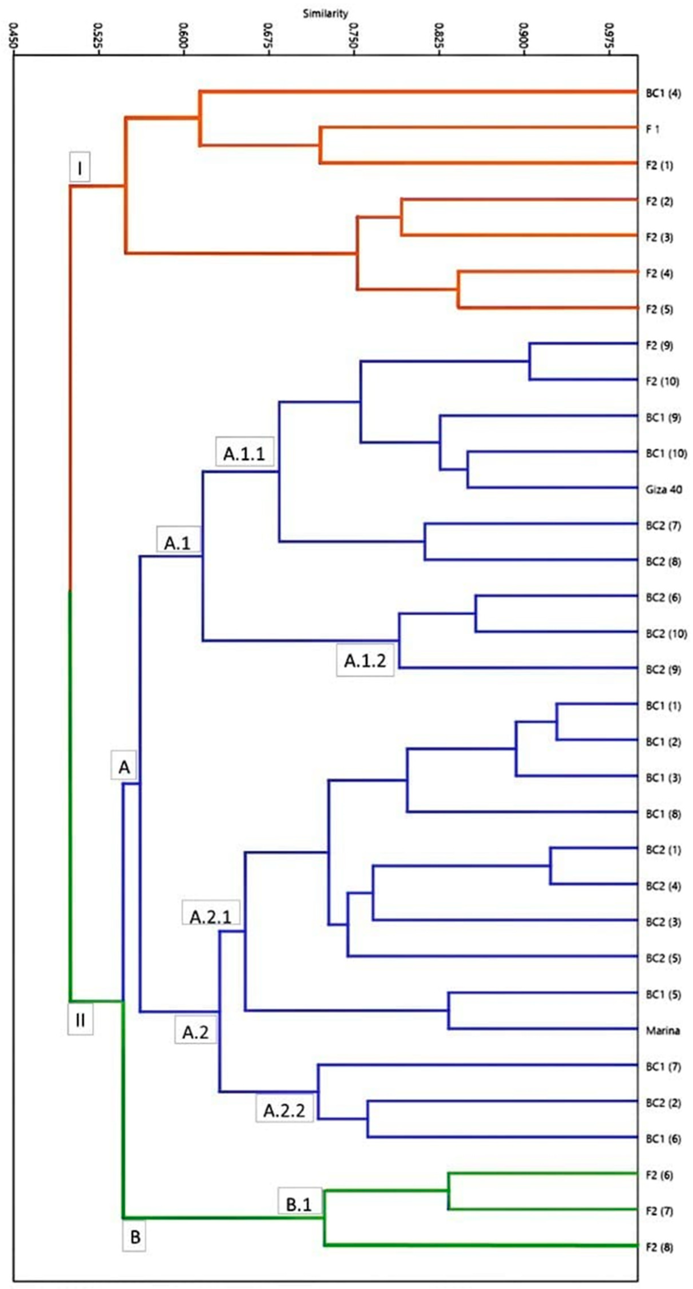 Plants 12 03645 g002 Plants 12 03645 g002