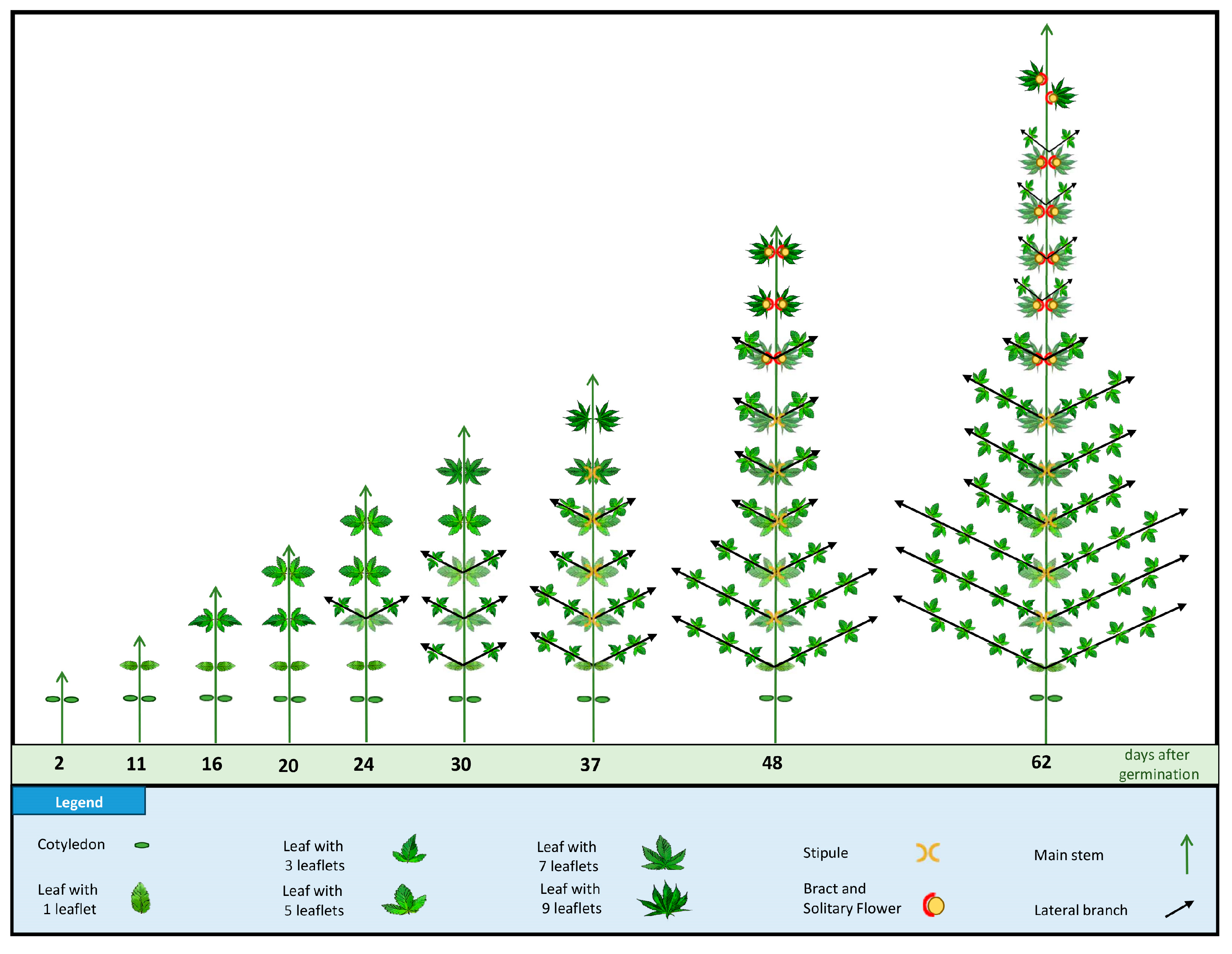 Plants 12 03646 g006