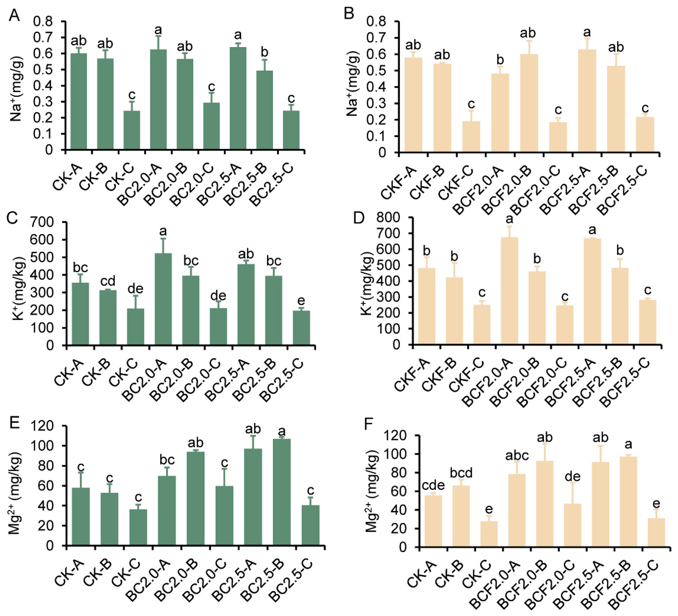 Plants 12 03649 g004