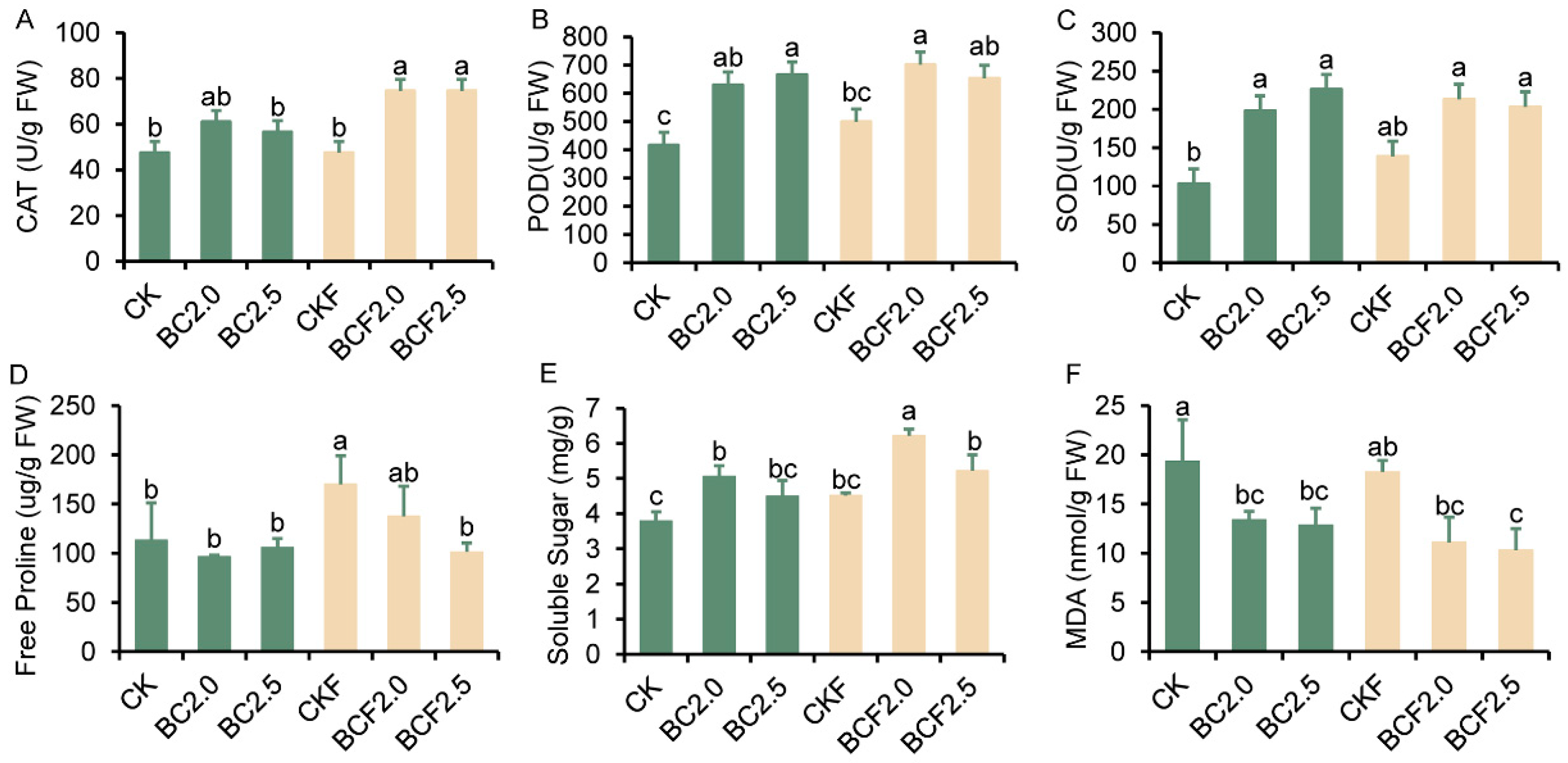 Plants 12 03649 g006