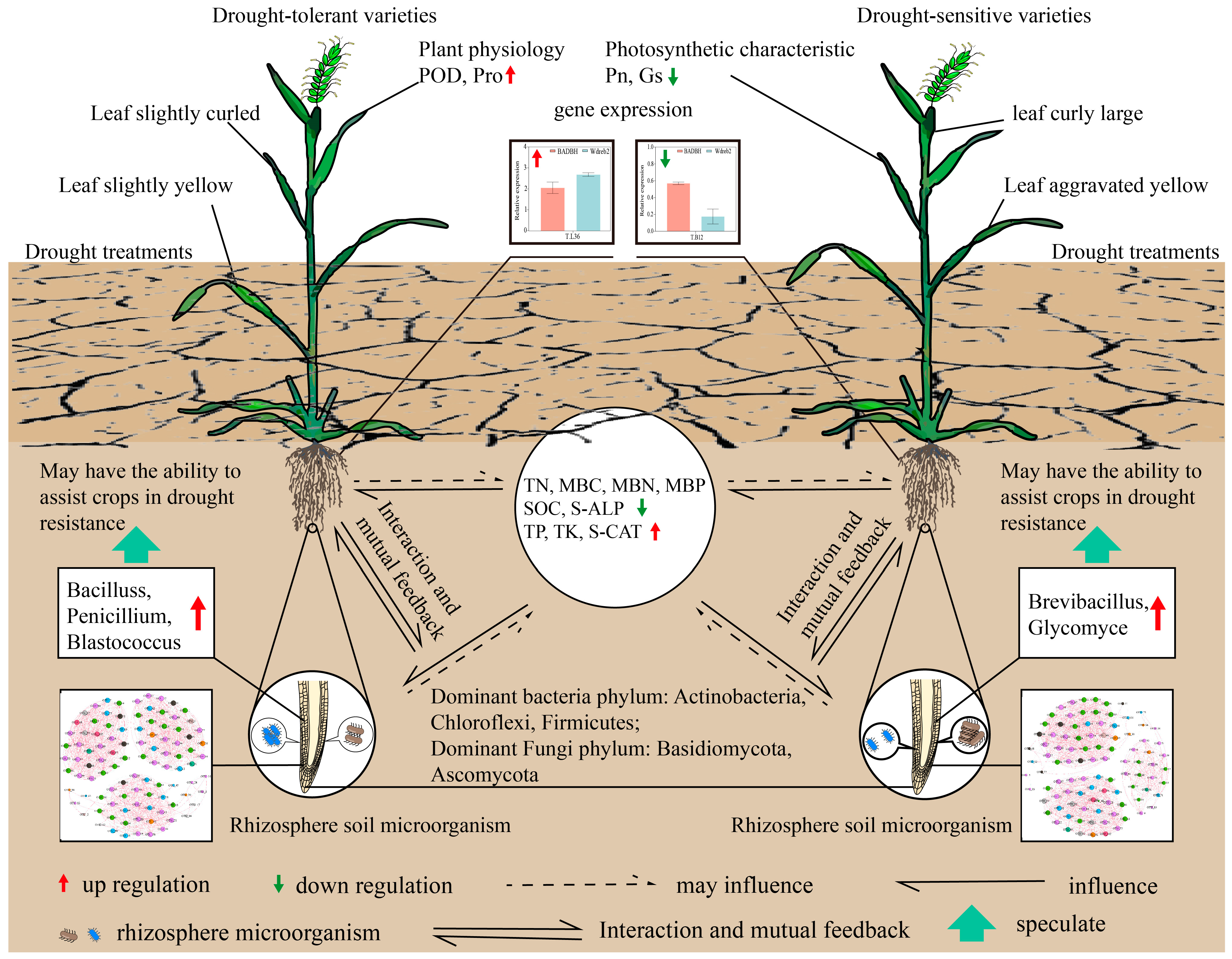 Plants 12 03650 g008