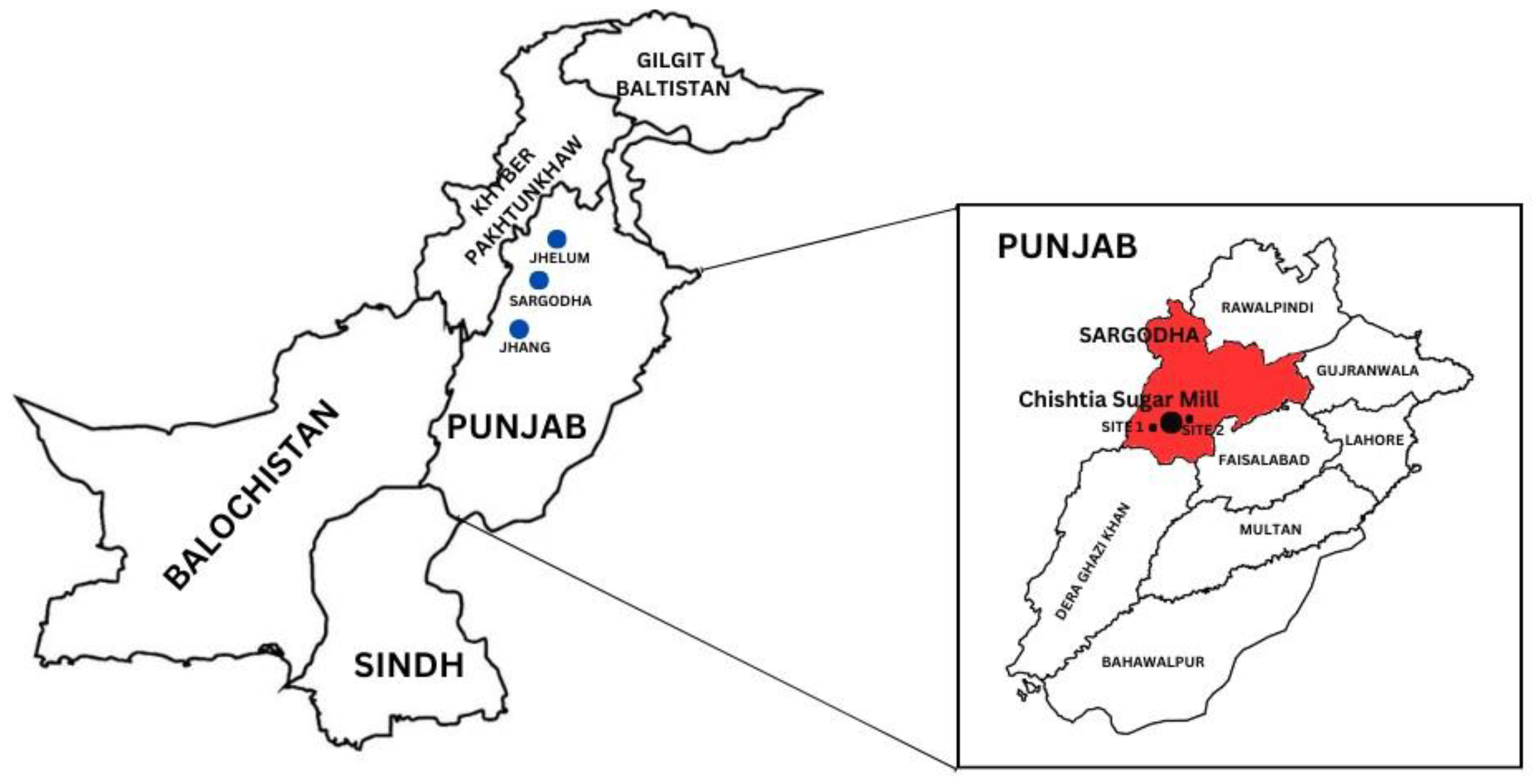 Plants 12 03652 g001