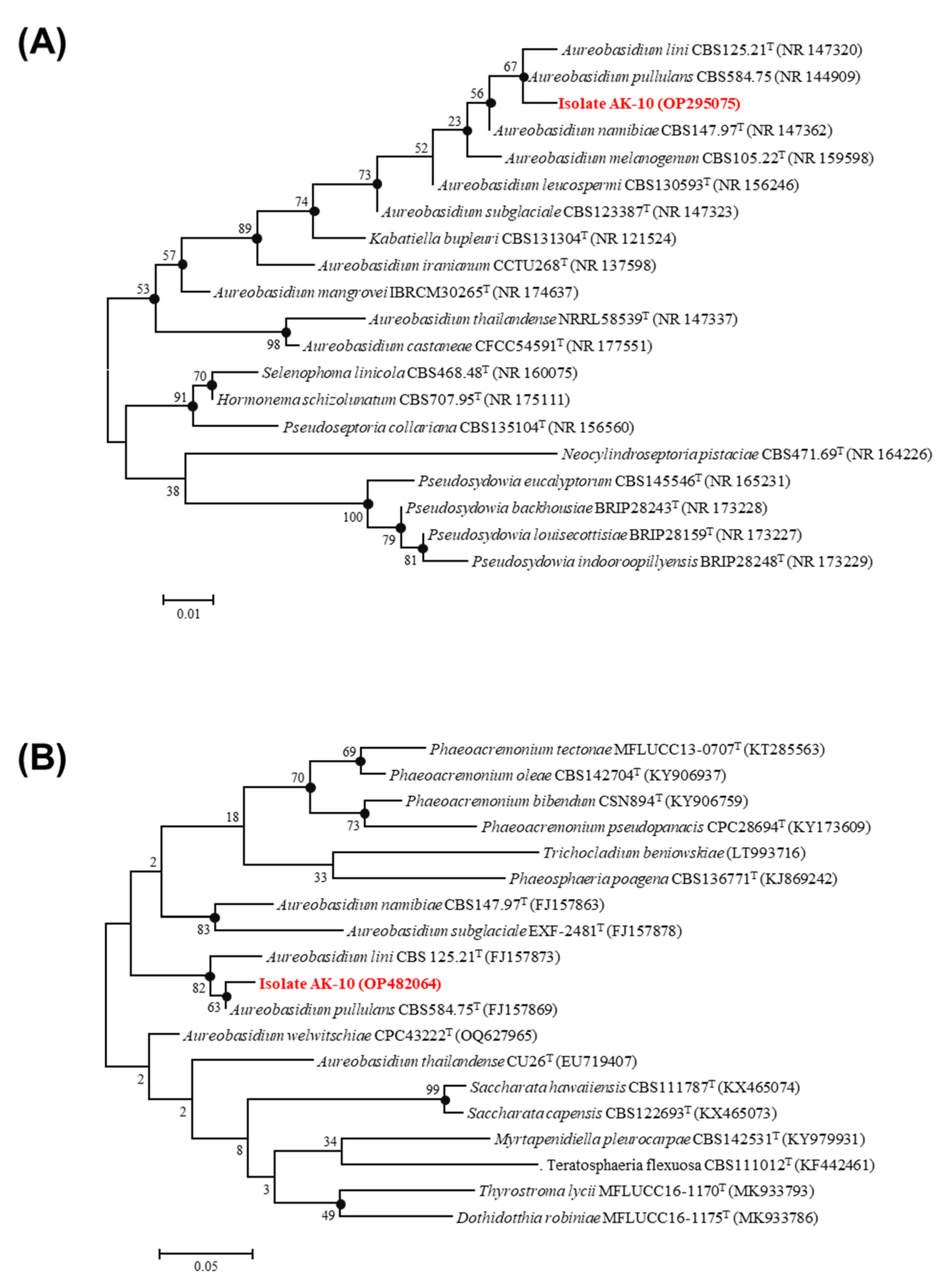 Plants 12 03653 g002
