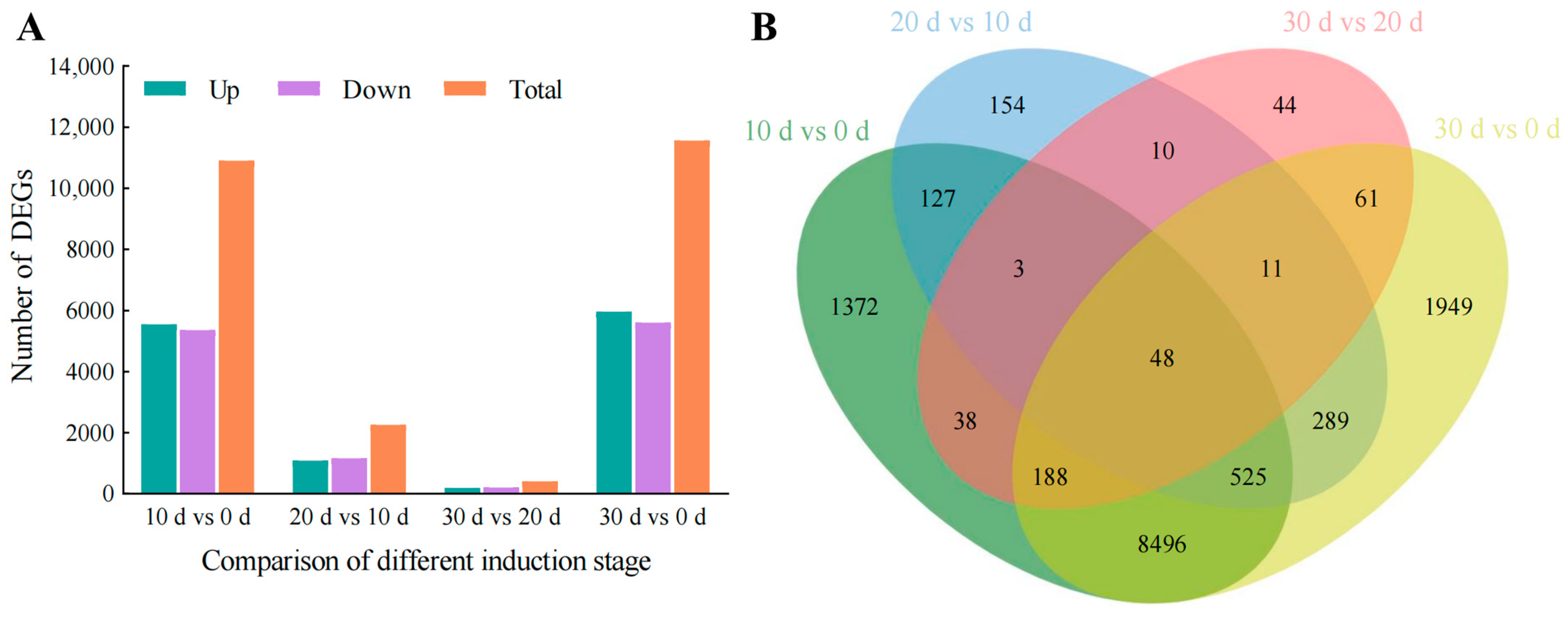 Plants 12 03663 g008